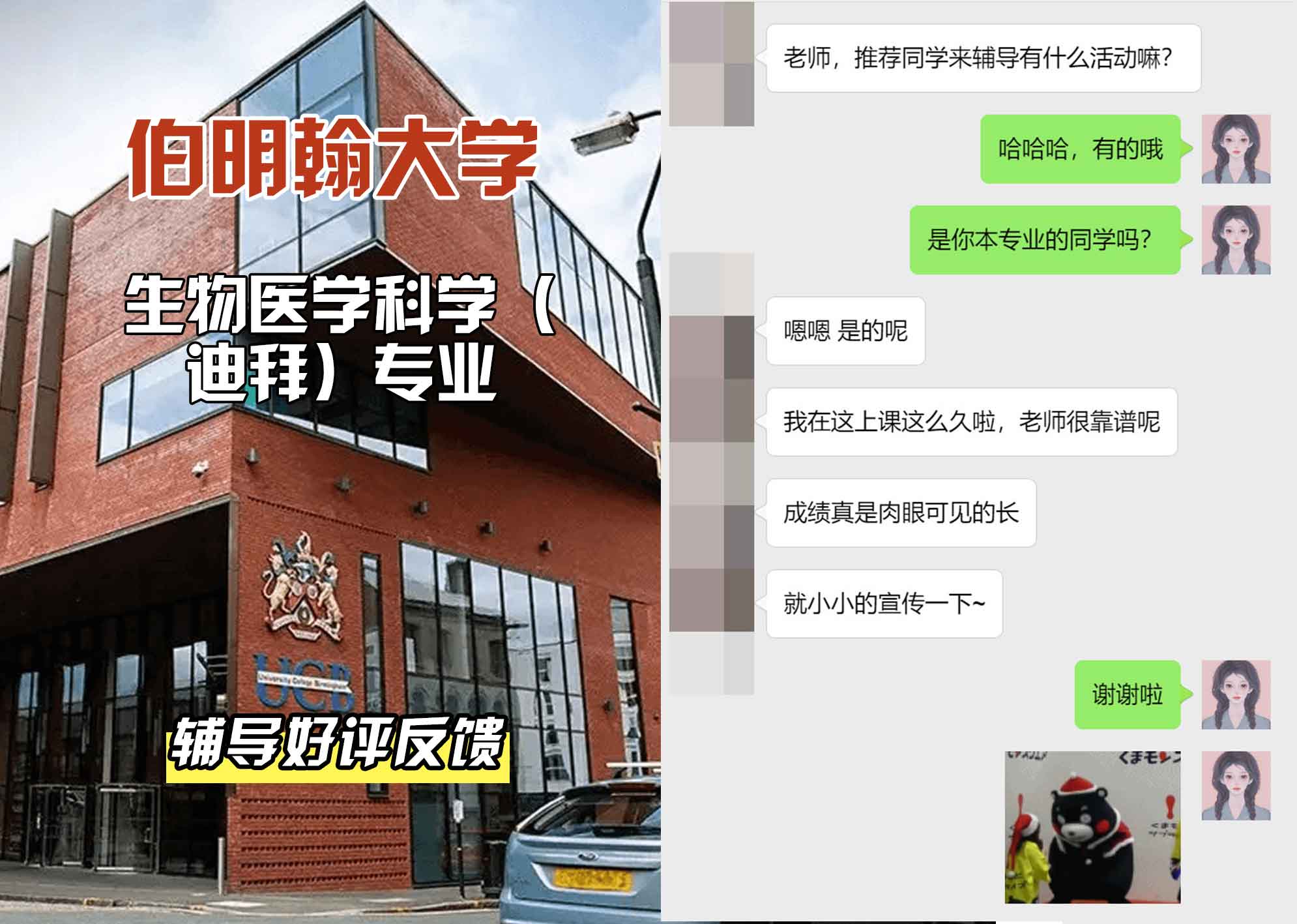 伯明翰大学伯大生物医学科学（迪拜）辅导好评反馈