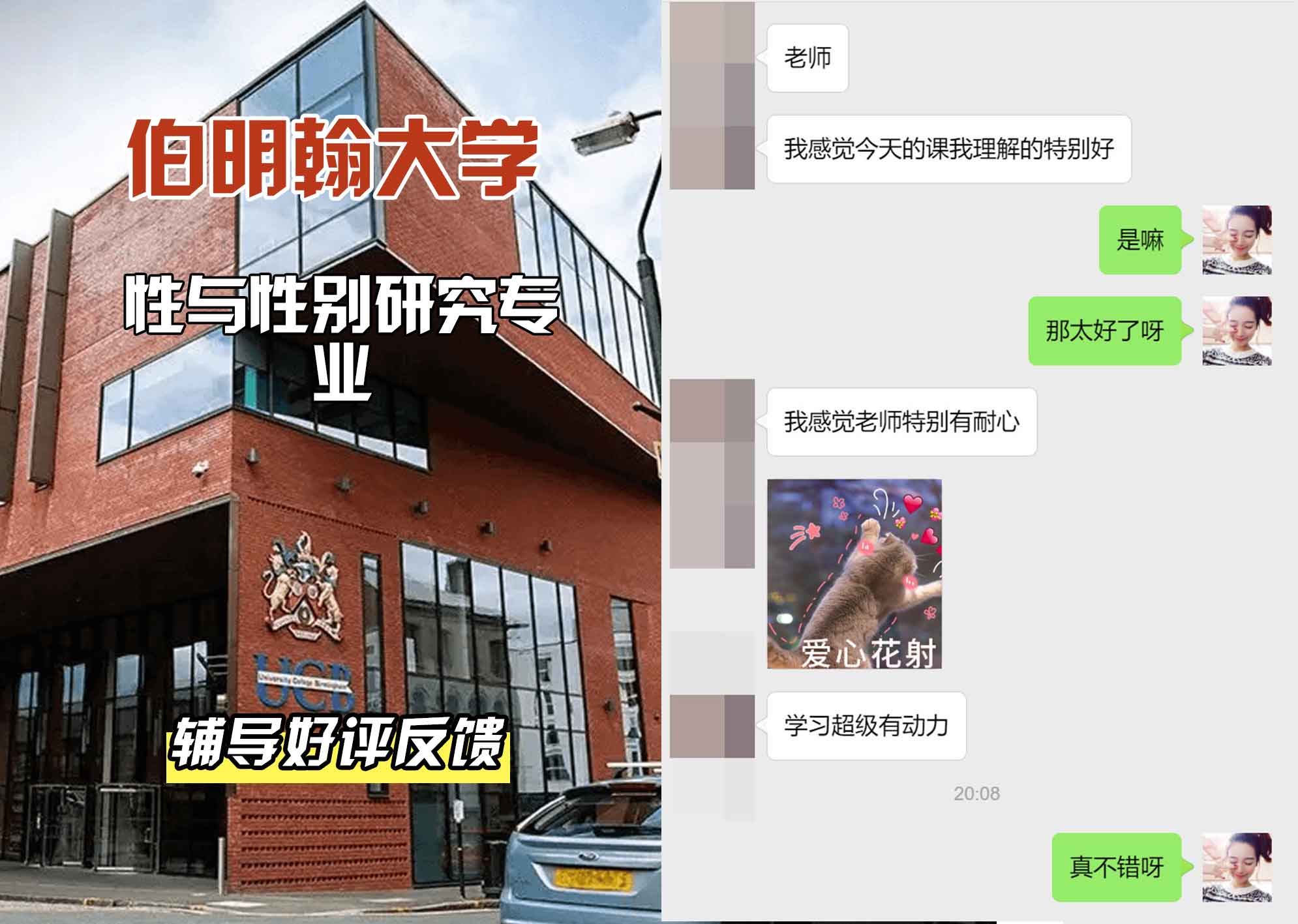 伯明翰大学伯大性与性别研究辅导好评反馈