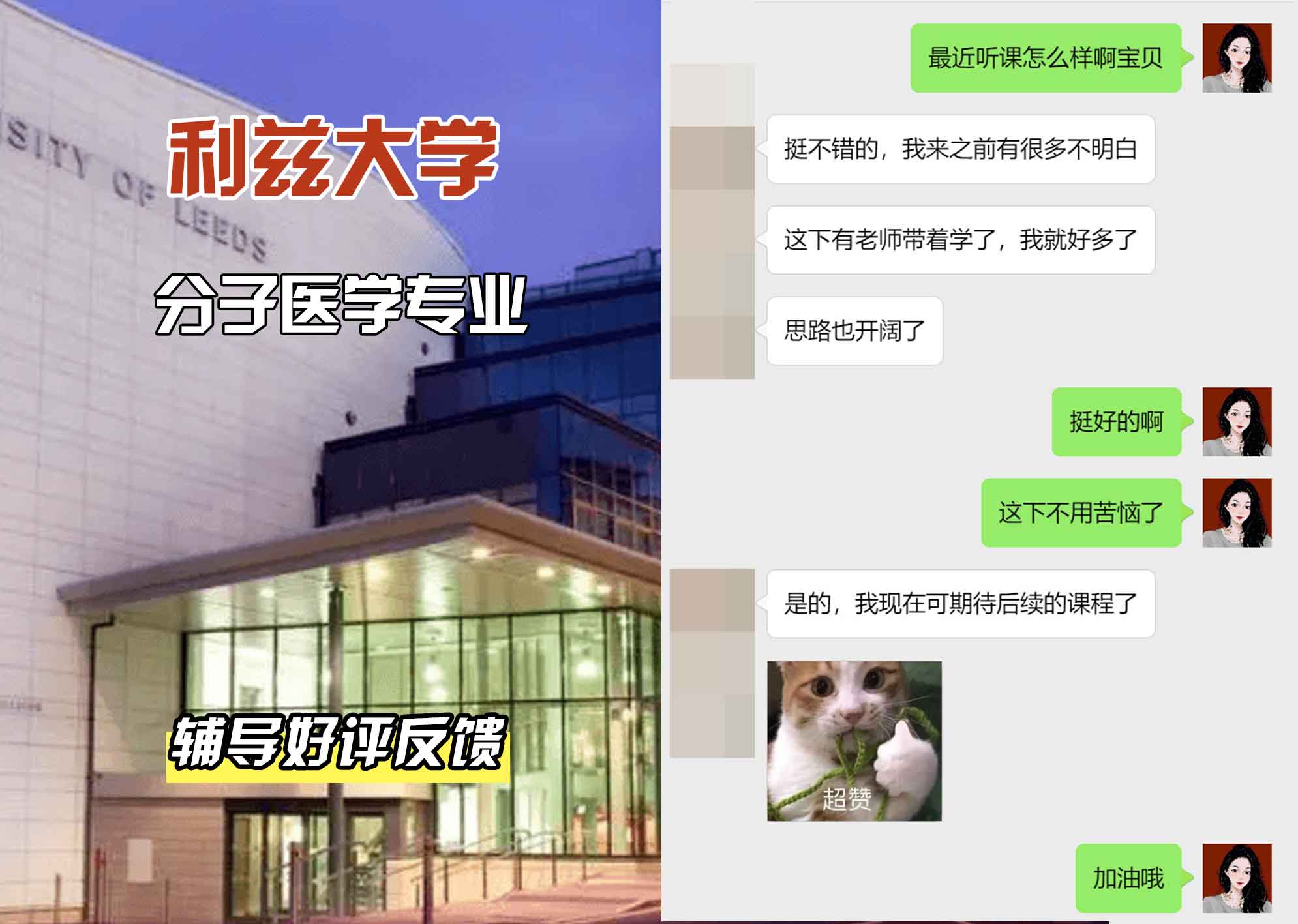 利兹大学leeds分子医学辅导好评反馈