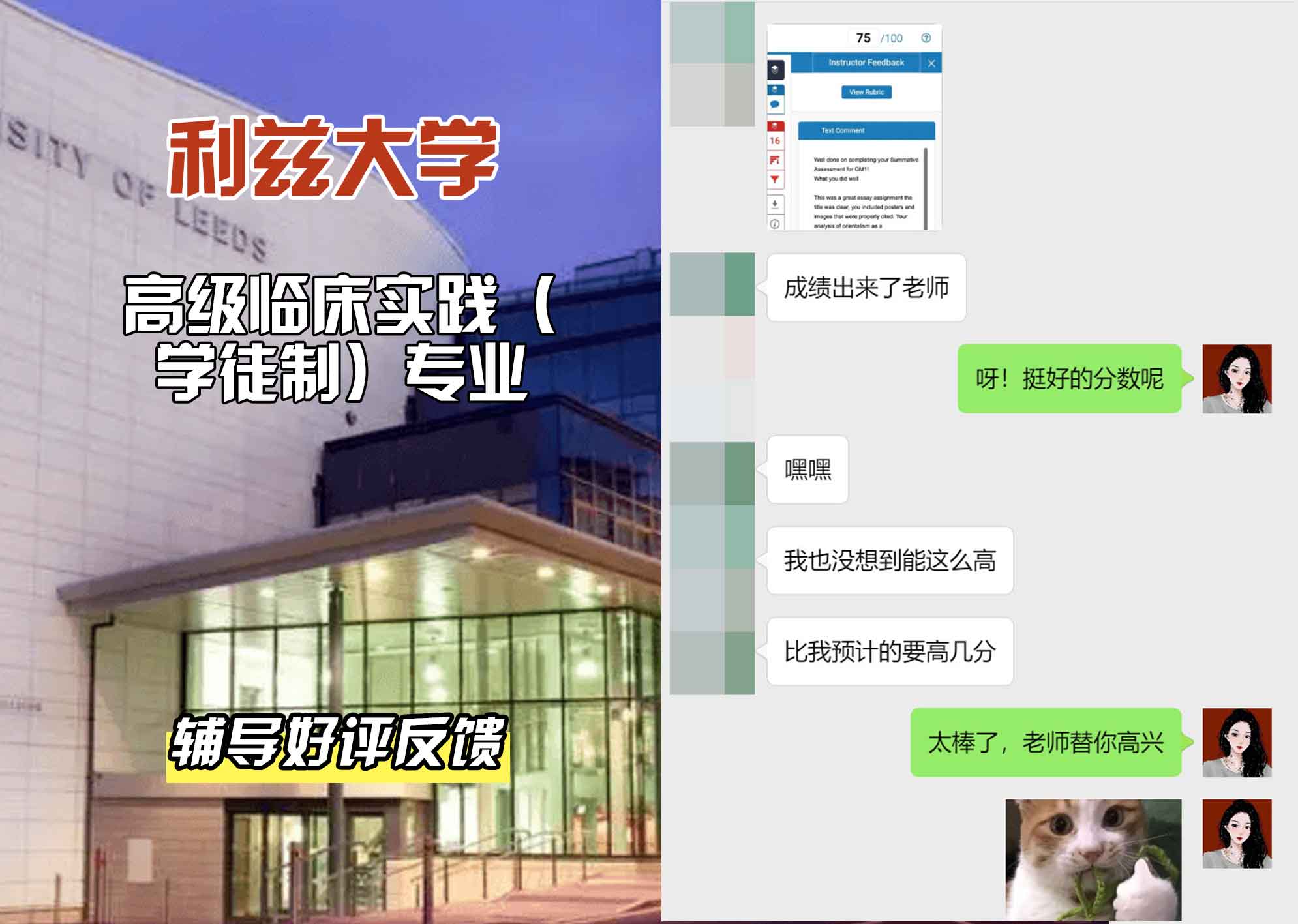 利兹大学leeds高级临床实践（学徒制）辅导好评反馈