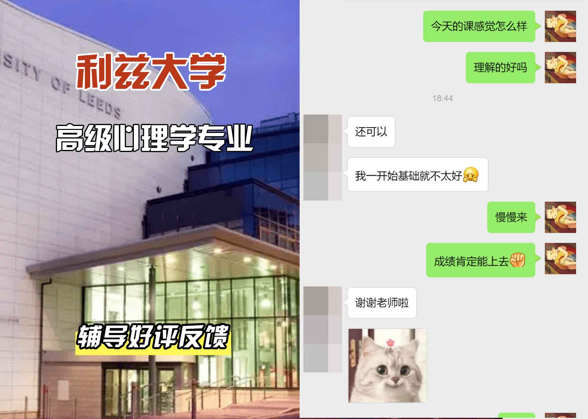 利兹大学leeds高级心理学辅导好评反馈