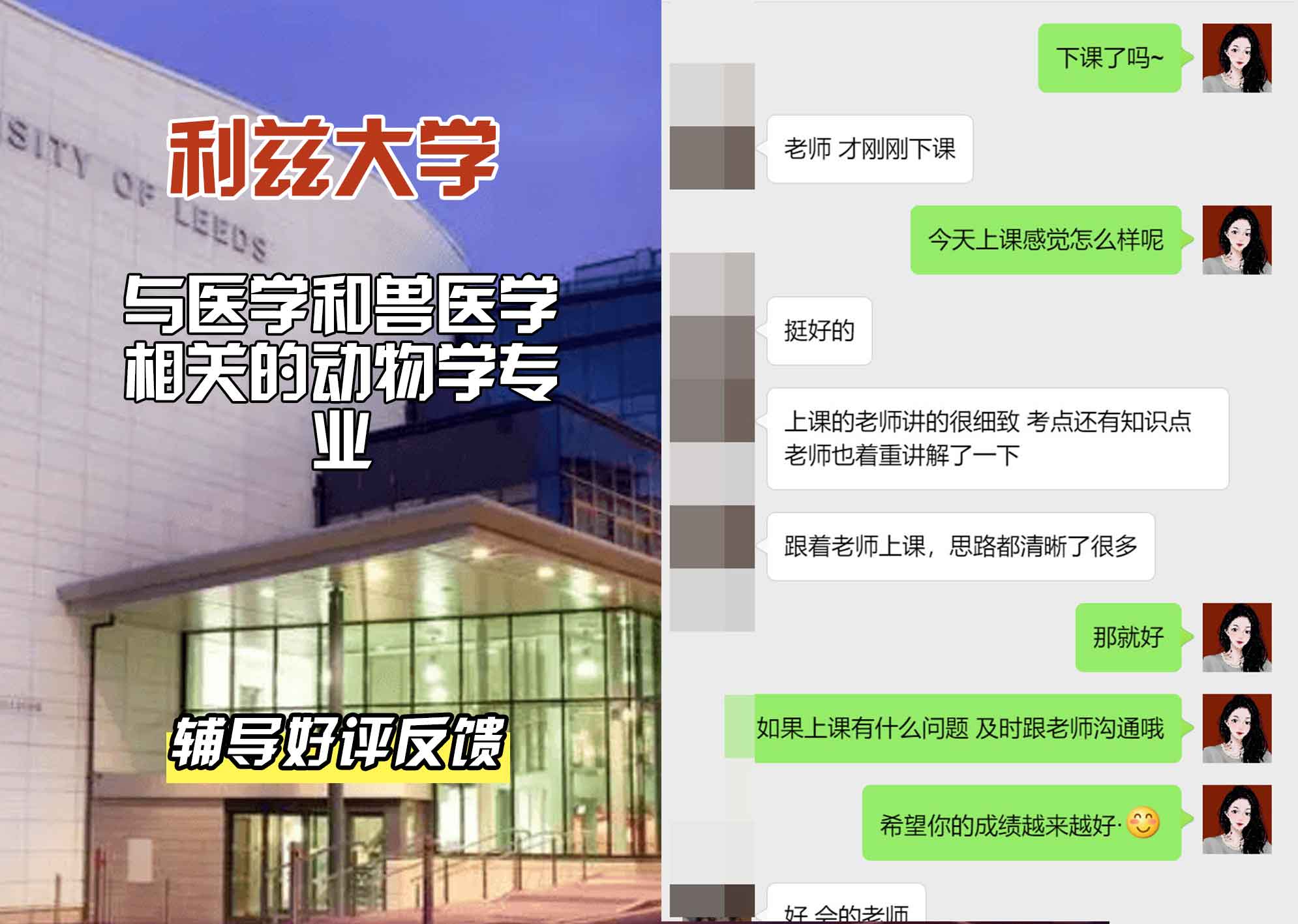 利兹大学leeds与医学和兽医学相关的动物学辅导好评反馈