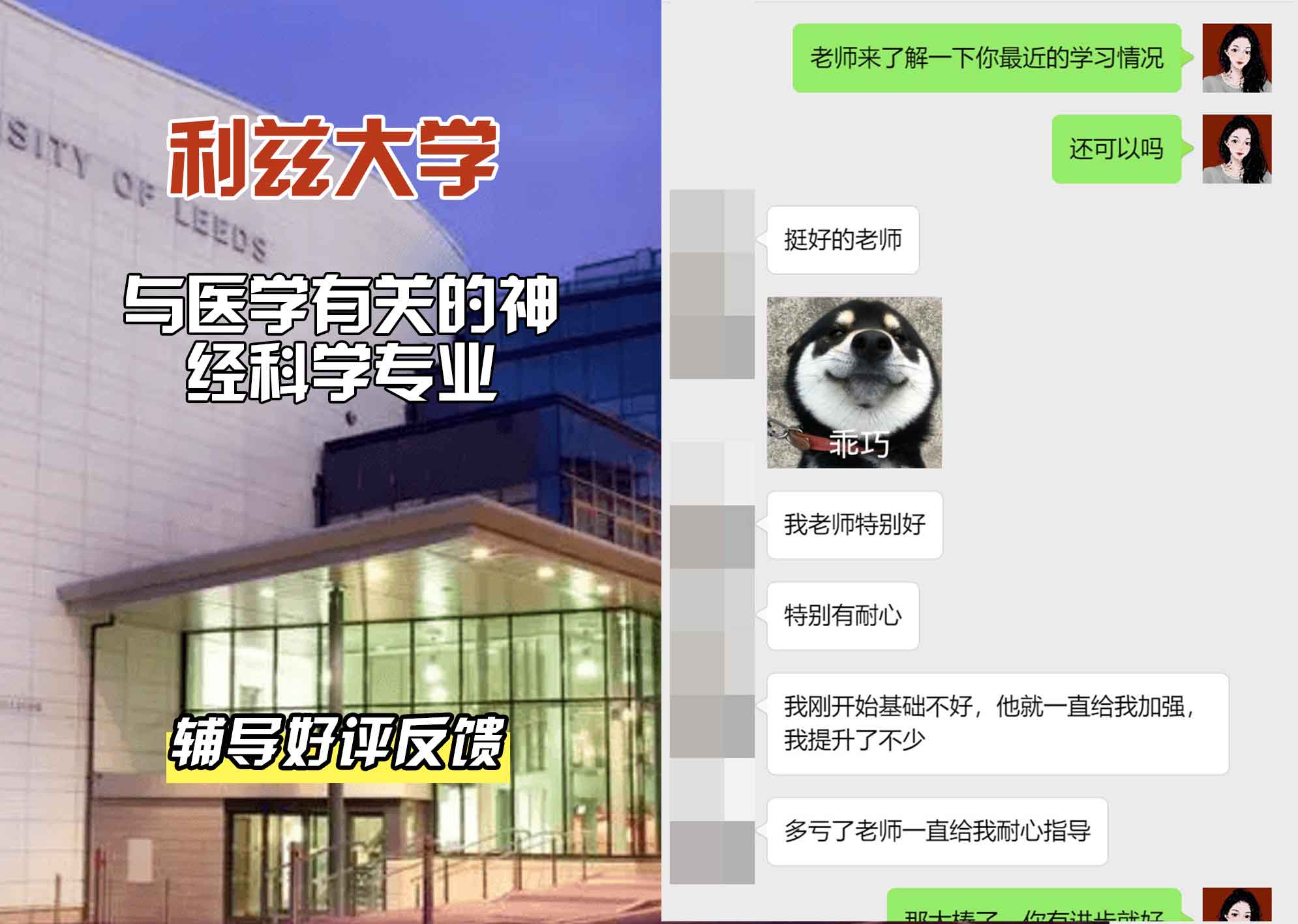 利兹大学leeds与医学有关的神经科学辅导好评反馈