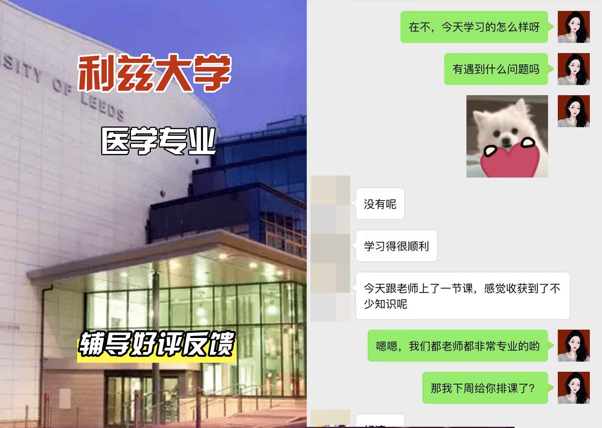 利兹大学leeds医学专业辅导好评反馈