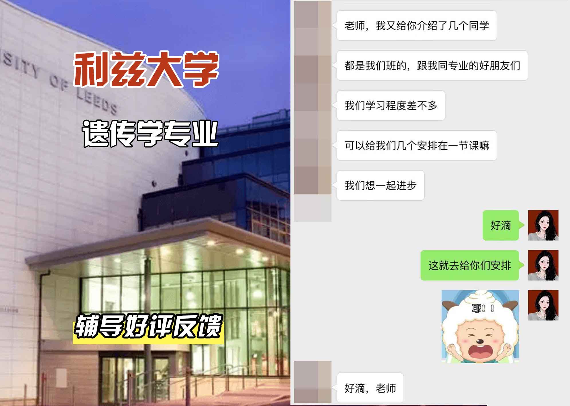 利兹大学leeds遗传学辅导好评反馈