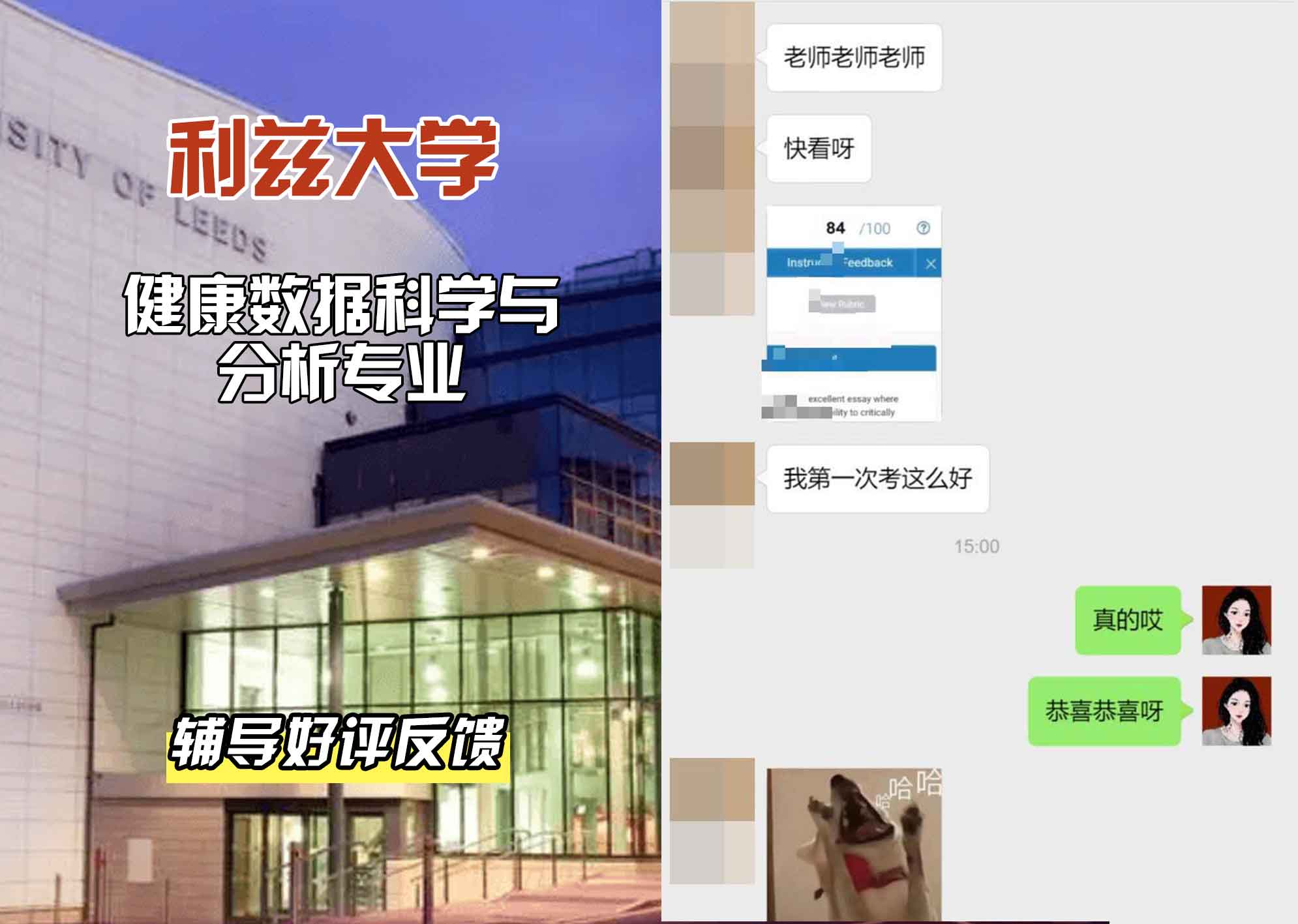 利兹大学leeds健康数据科学与分析辅导好评反馈