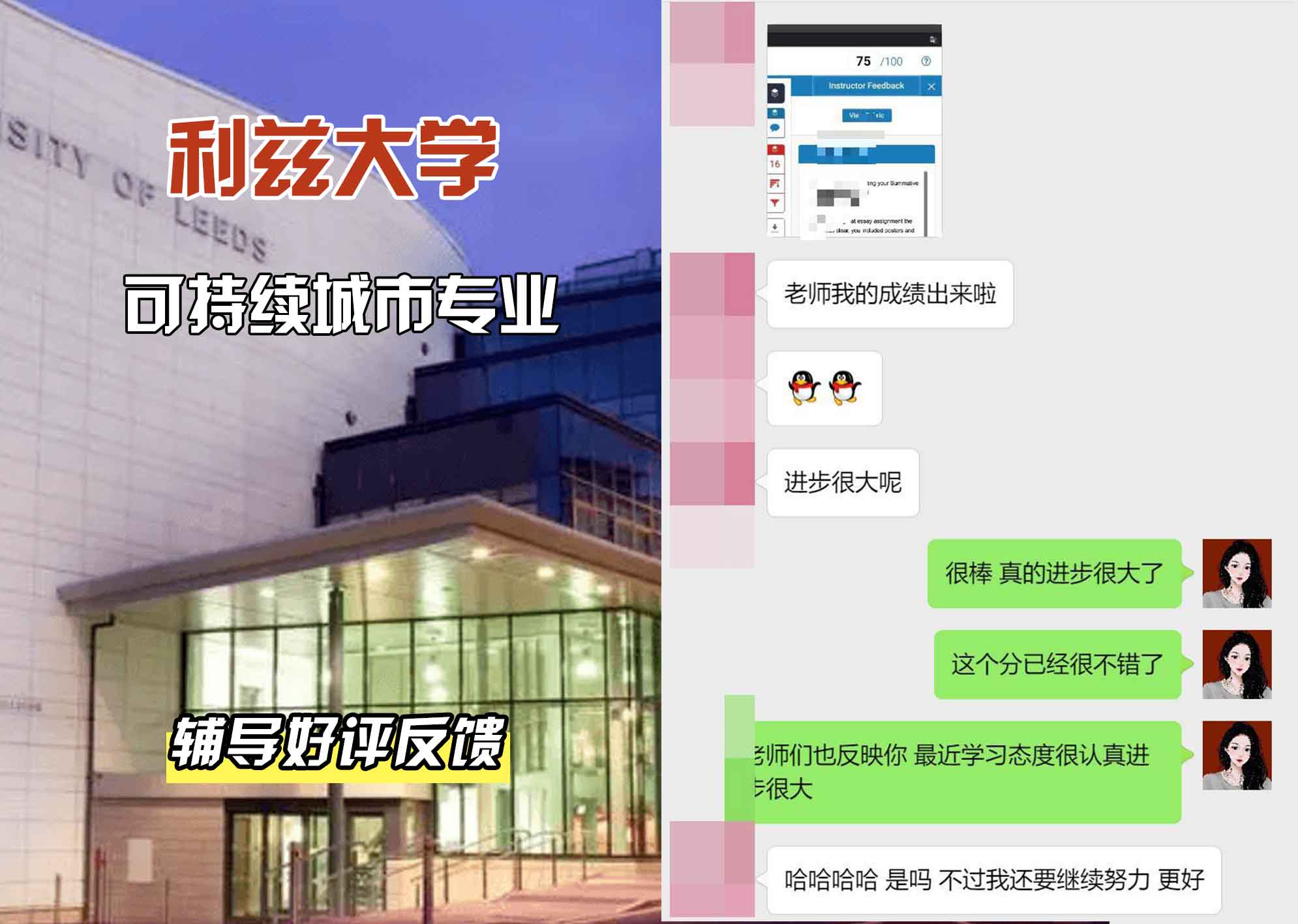 利兹大学leeds可持续城市辅导好评反馈