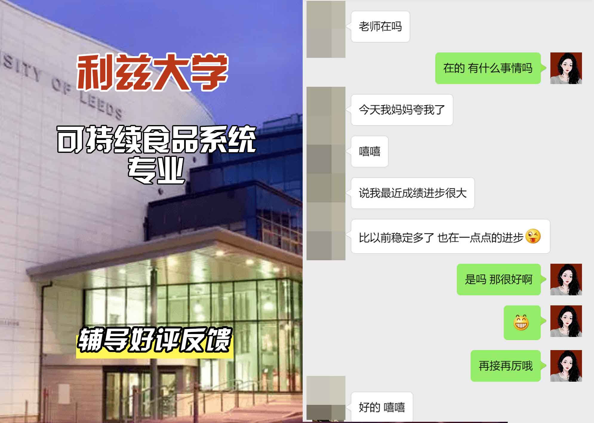利兹大学leeds可持续食品系统辅导好评反馈