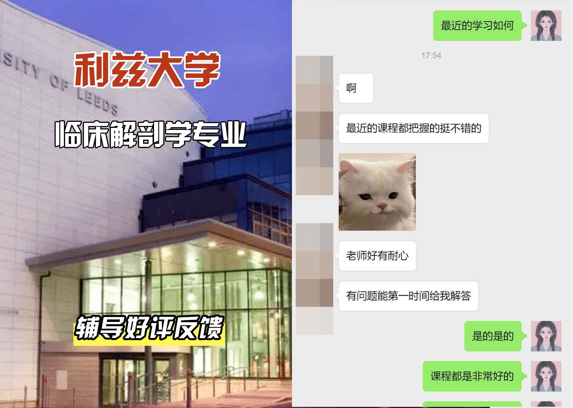 利兹大学leeds临床解剖学辅导好评反馈