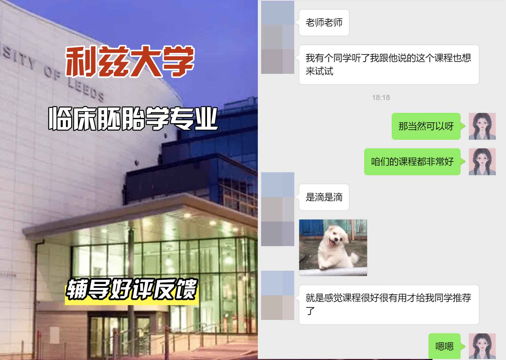 利兹大学leeds临床胚胎学辅导好评反馈