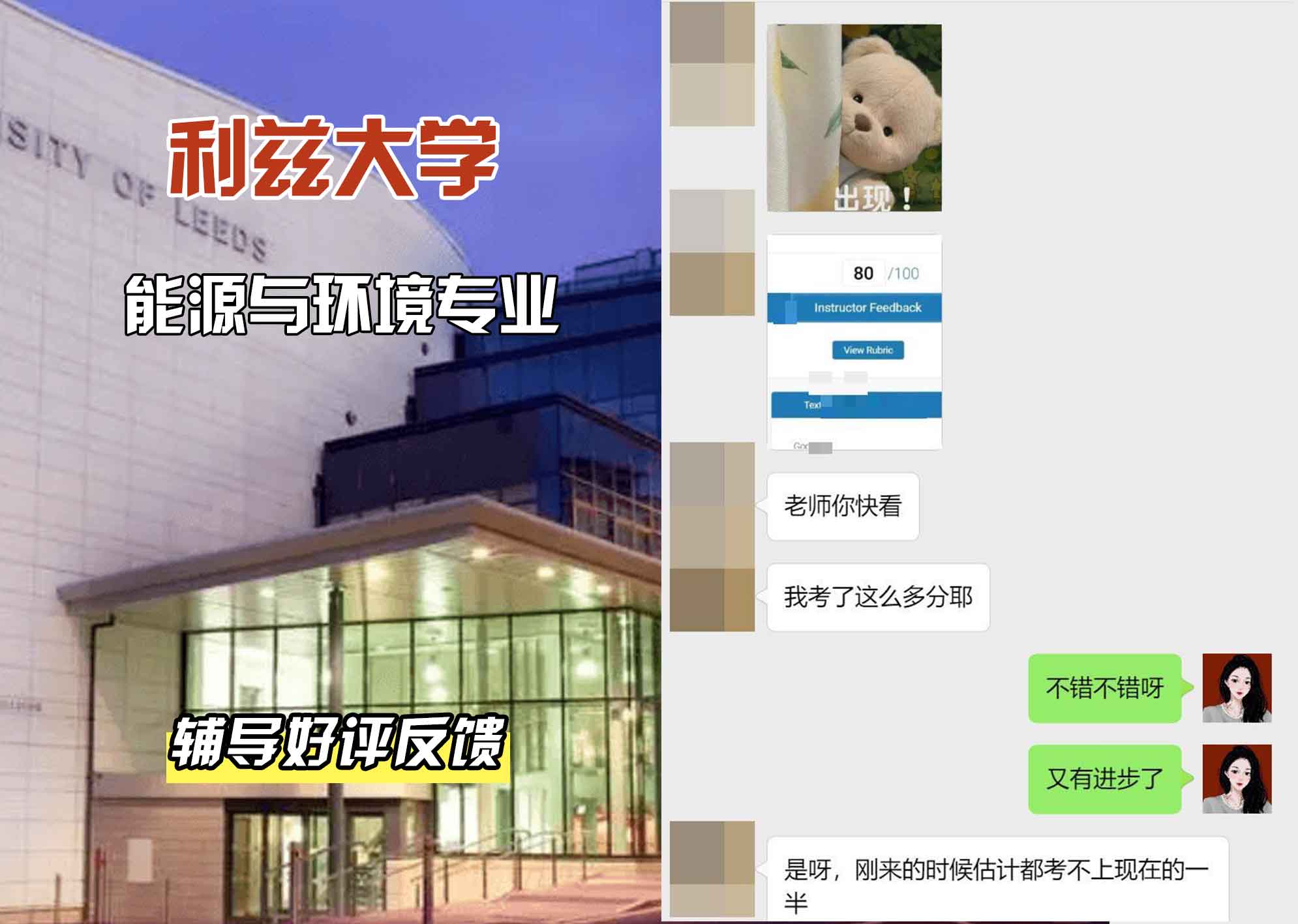 利兹大学leeds能源与环境辅导好评反馈