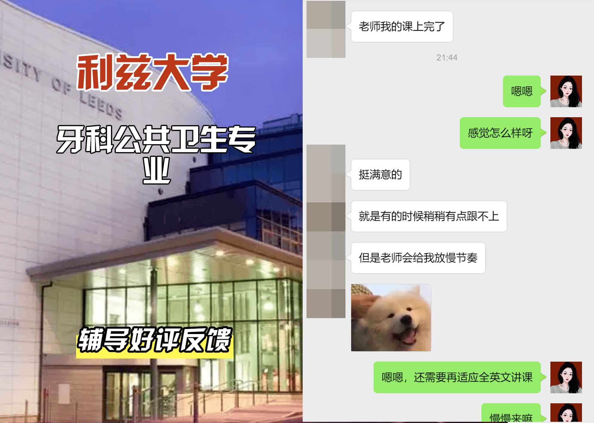 利兹大学leeds牙科公共卫生辅导好评反馈