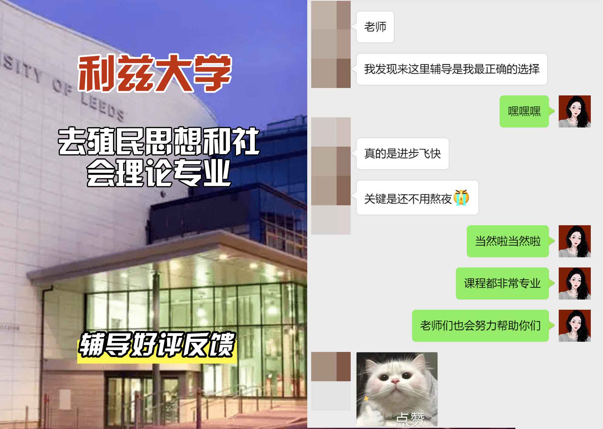 利兹大学leeds去殖民思想和社会理论辅导好评反馈