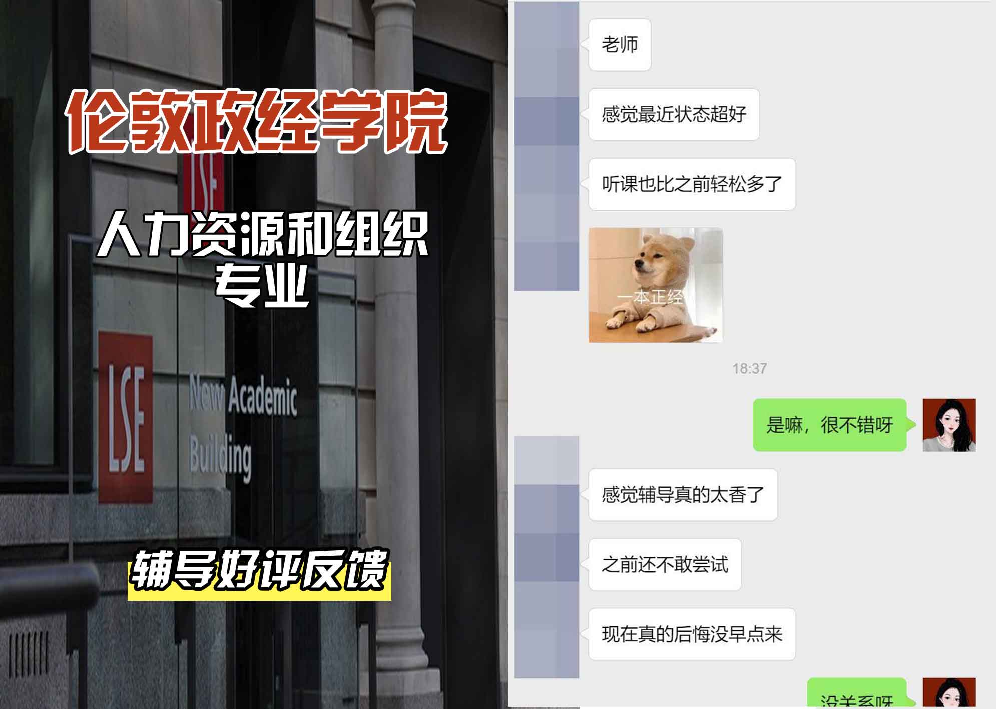 伦敦政经学院LSE人力资源和组织辅导好评反馈