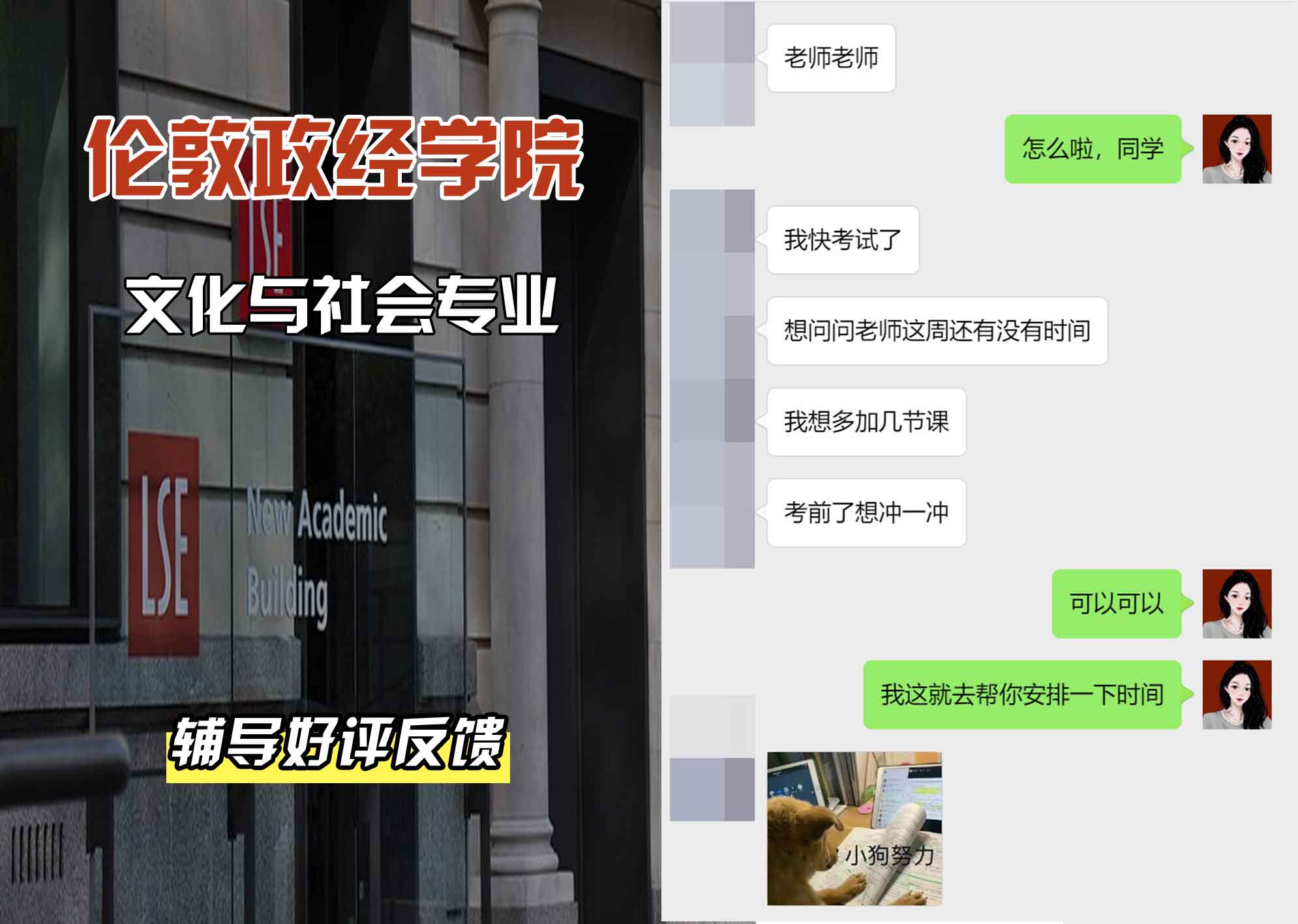 伦敦政经学院LSE文化与社会辅导好评反馈