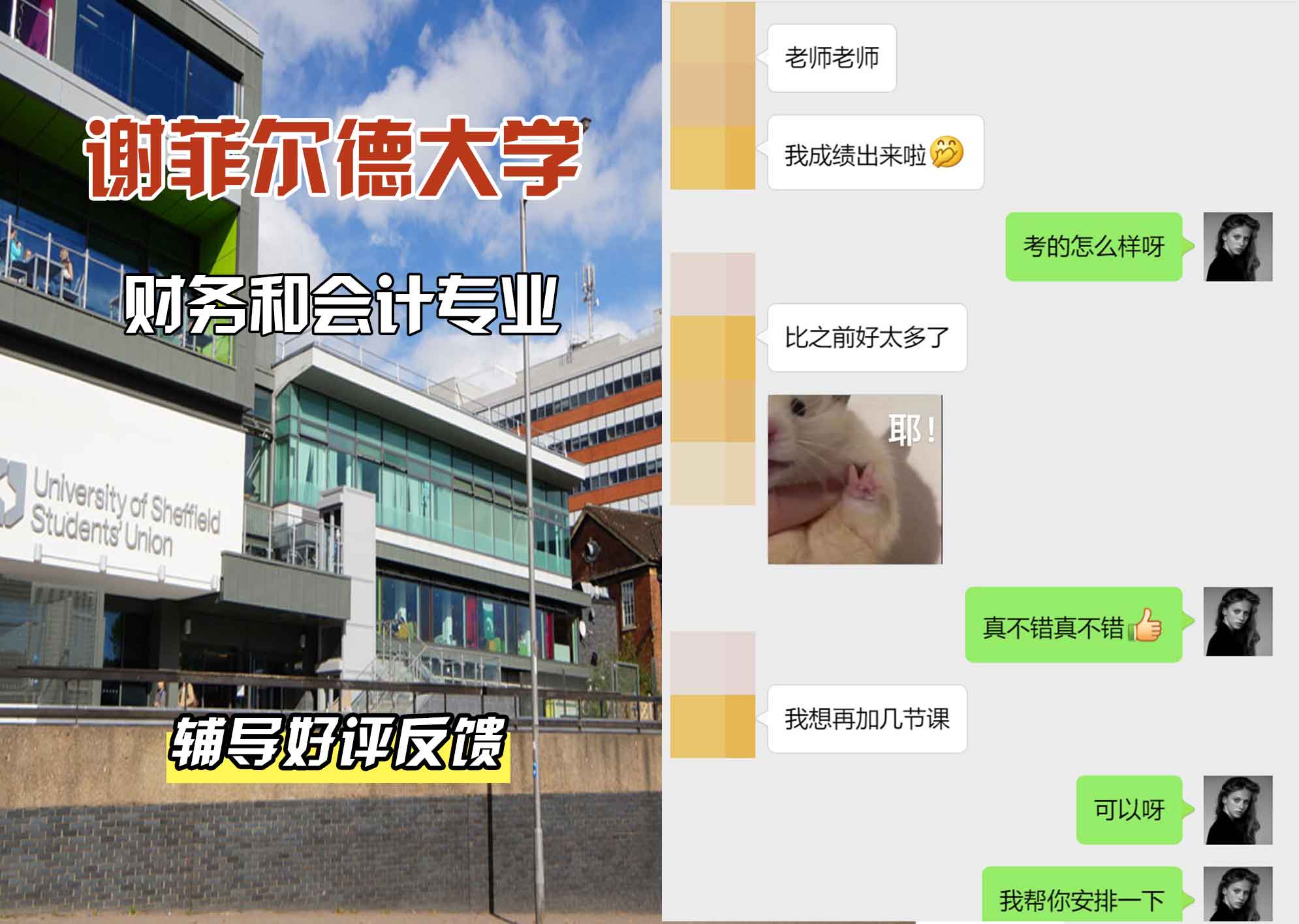 谢菲尔德大学谢大财务和会计辅导好评反馈