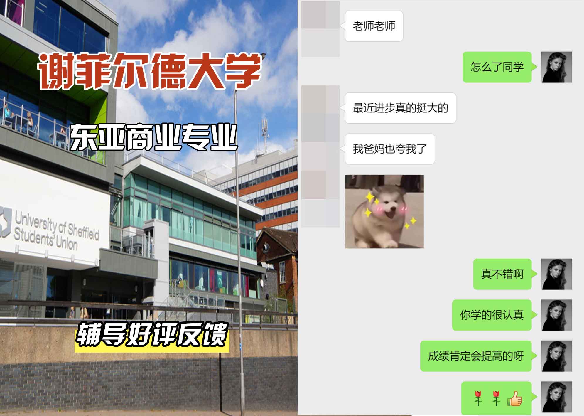 谢菲尔德大学谢大东亚商业辅导好评反馈