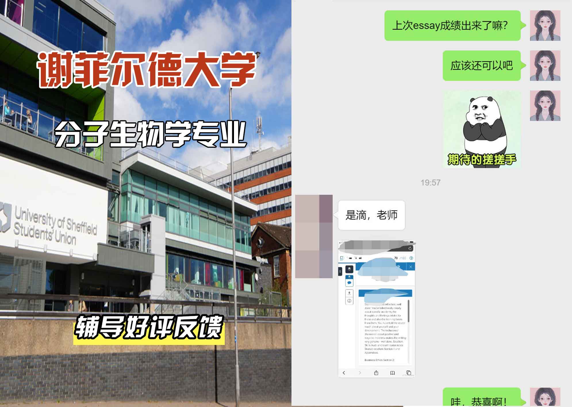 谢菲尔德大学谢大分子生物学辅导好评反馈