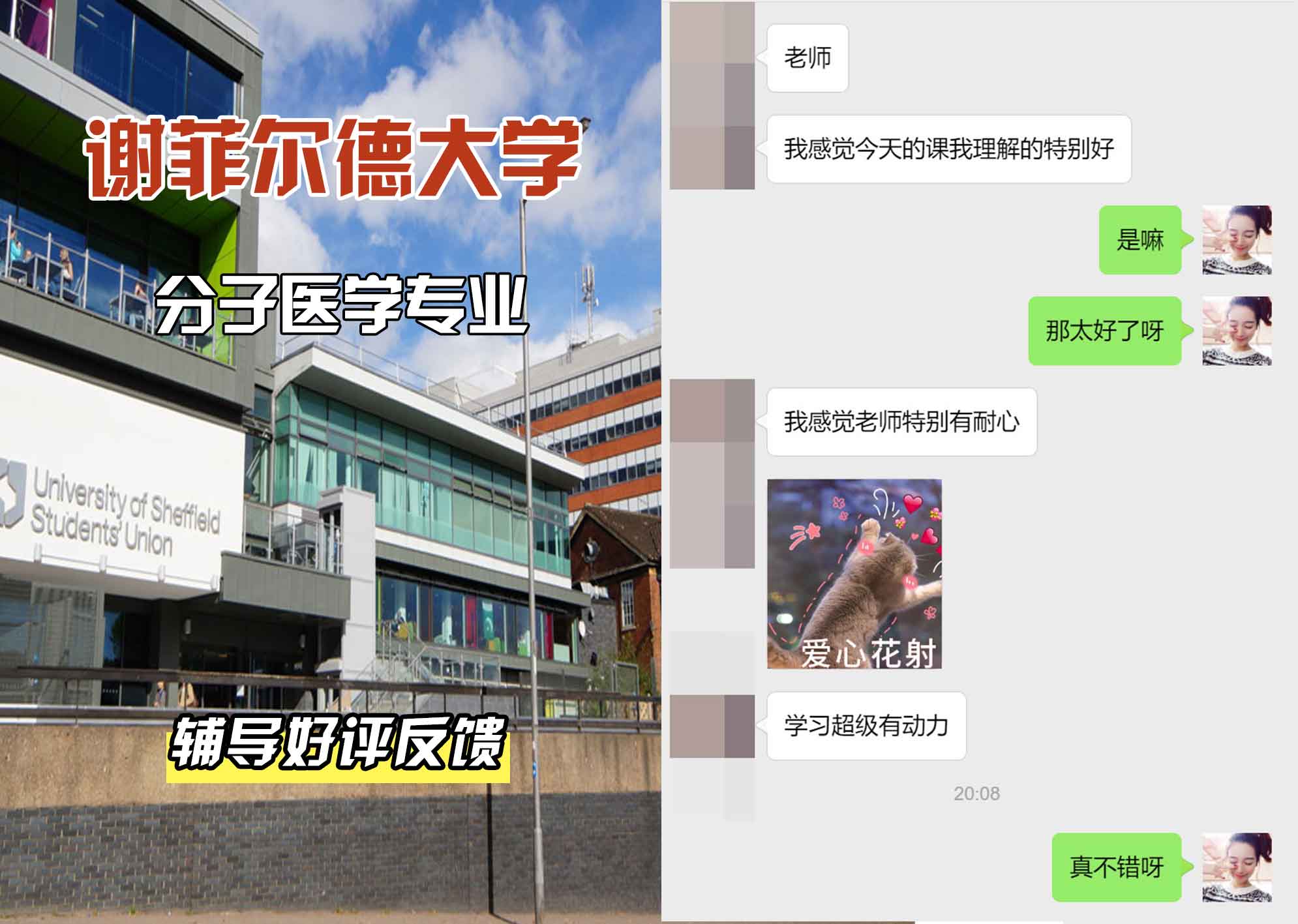 谢菲尔德大学谢大分子医学辅导好评反馈