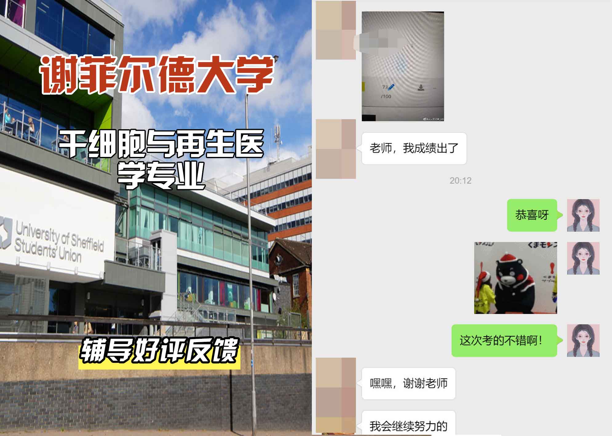 谢菲尔德大学谢大干细胞与再生医学辅导好评反馈