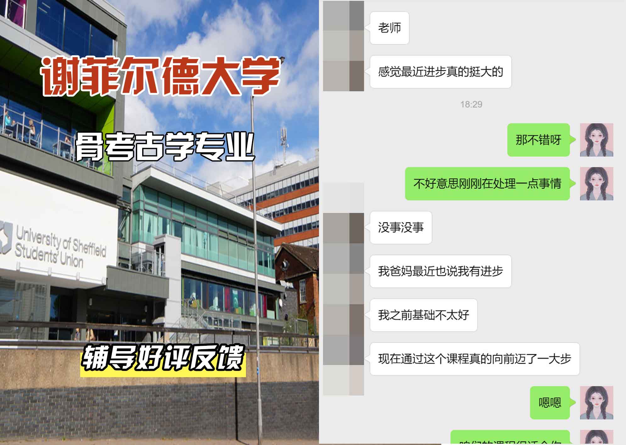谢菲尔德大学谢大骨考古学辅导好评反馈