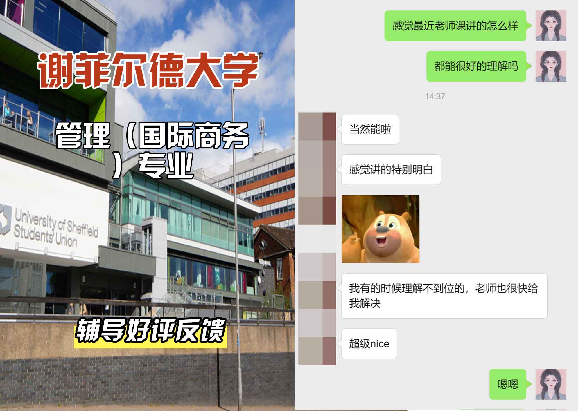谢菲尔德大学谢大管理（国际商务）辅导好评反馈