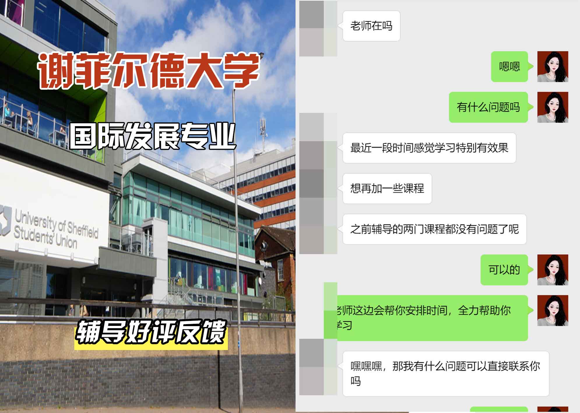 谢菲尔德大学谢大国际发展辅导好评反馈