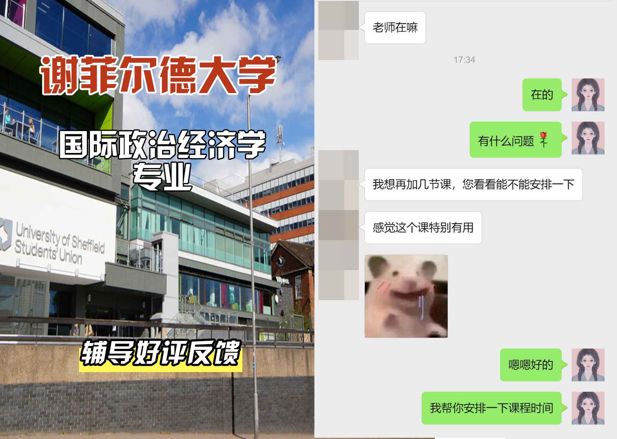 谢菲尔德大学谢大国际政治经济学辅导好评反馈