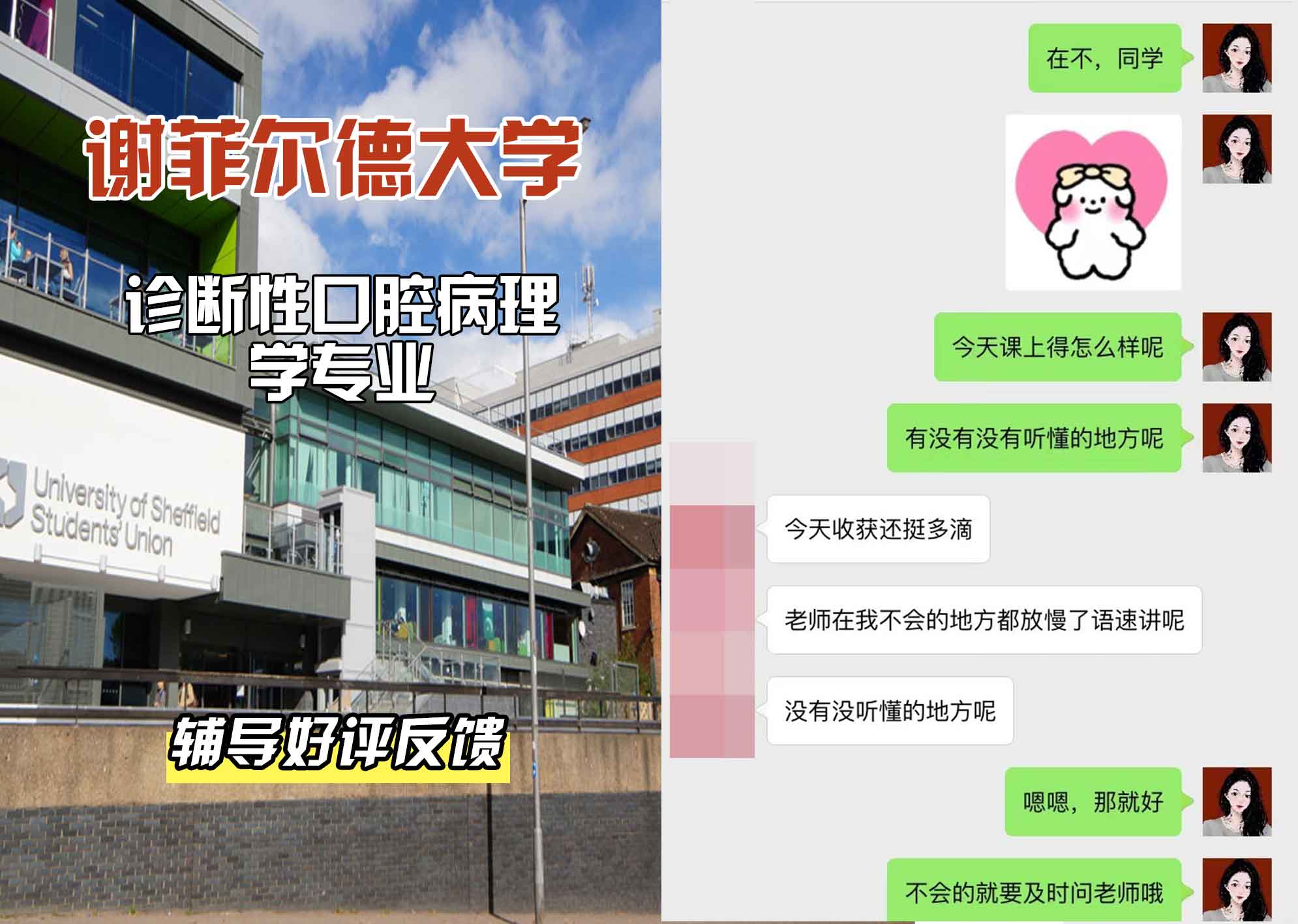 谢菲尔德大学谢大诊断性口腔病理学辅导好评反馈