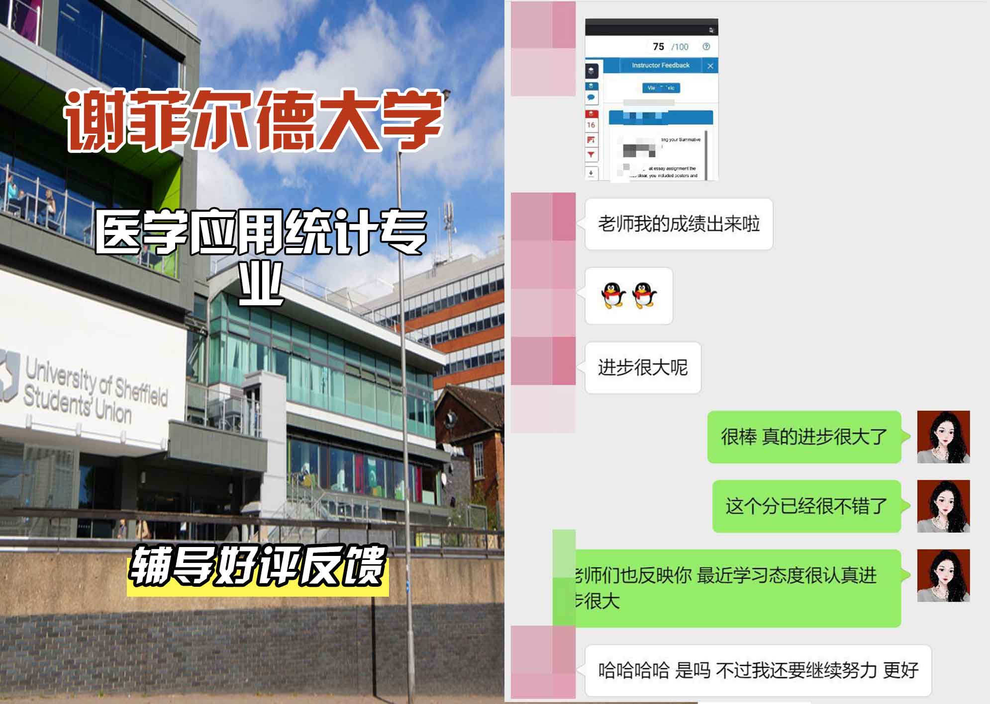 谢菲尔德大学谢大医学应用统计辅导好评反馈