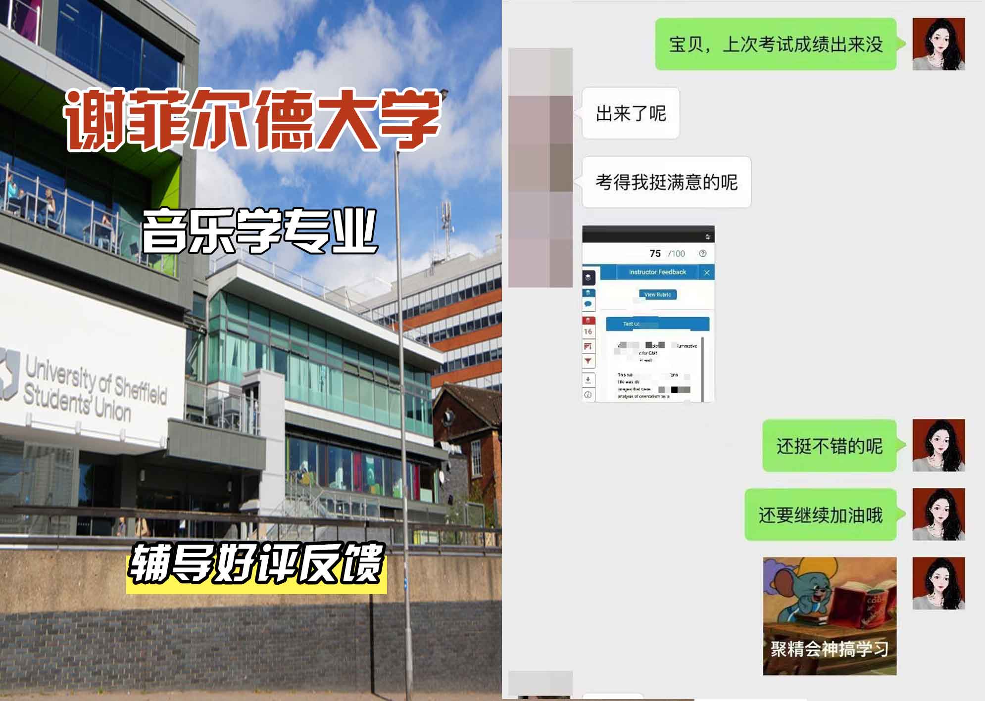 谢菲尔德大学谢大音乐学辅导好评反馈