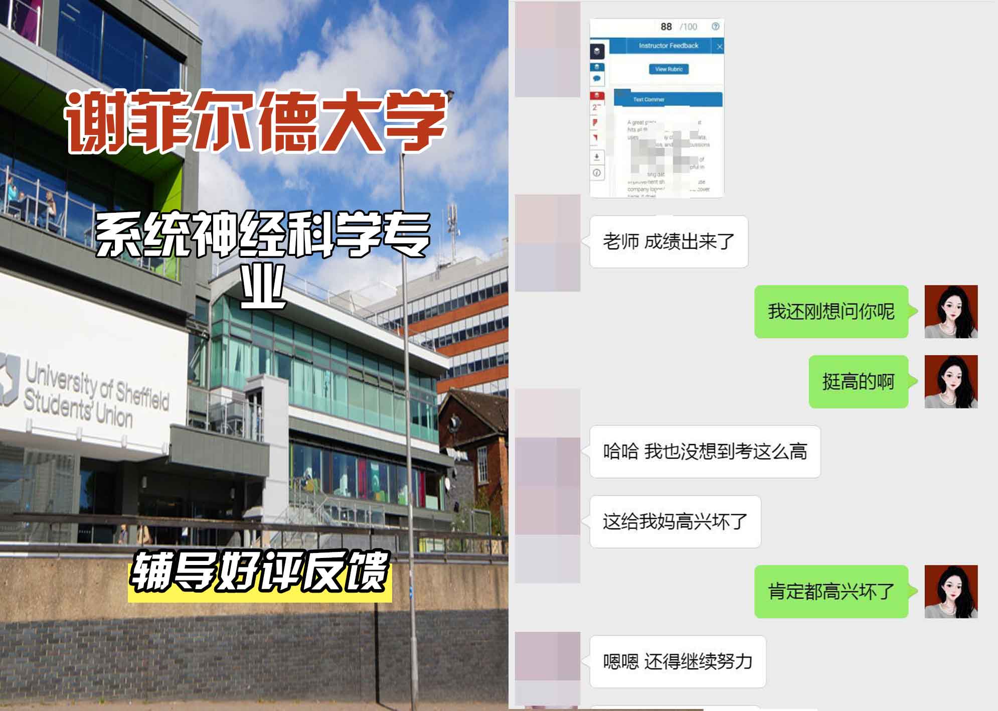 谢菲尔德大学谢大系统神经科学辅导好评反馈