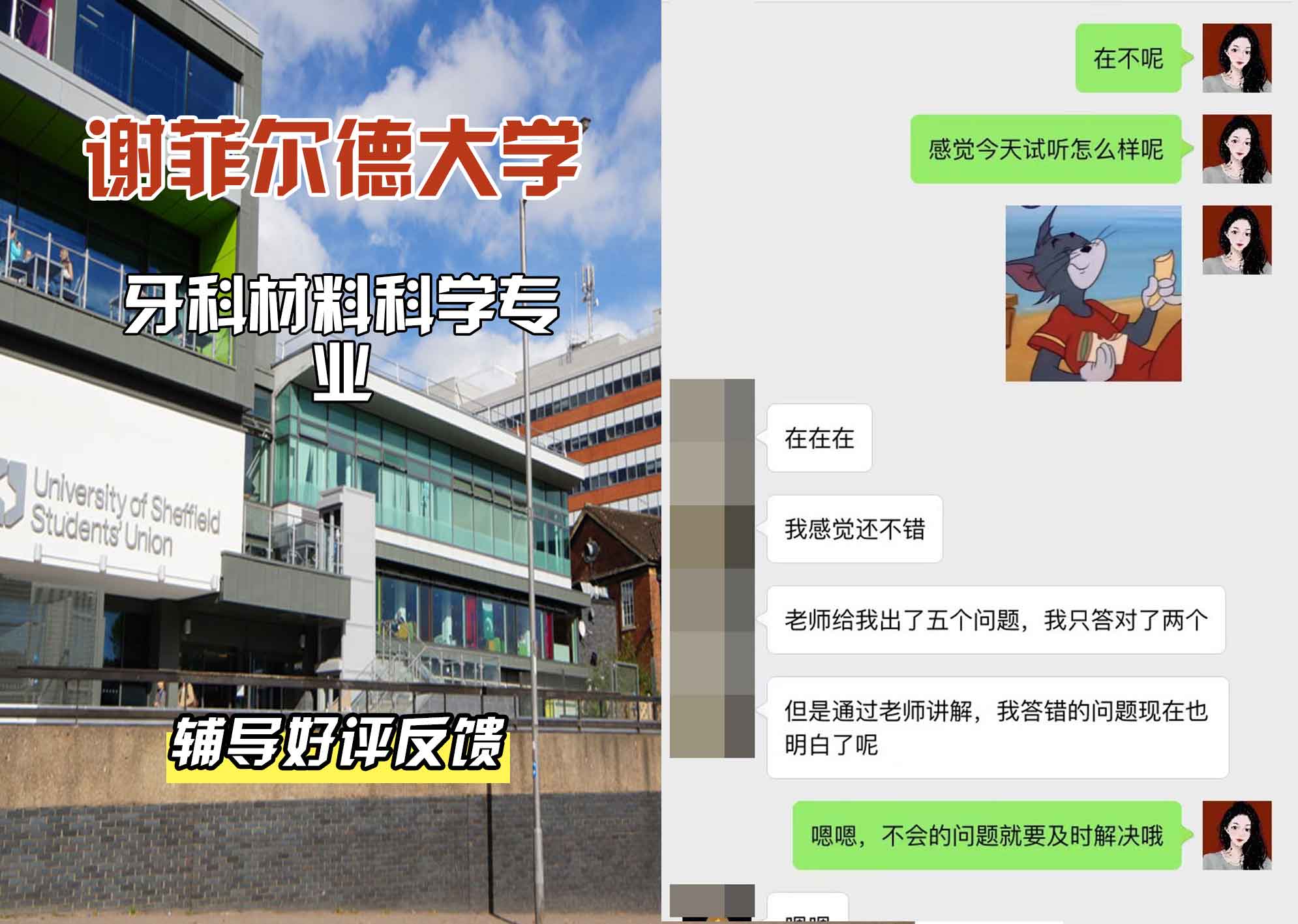谢菲尔德大学谢大牙科材料科学辅导好评反馈