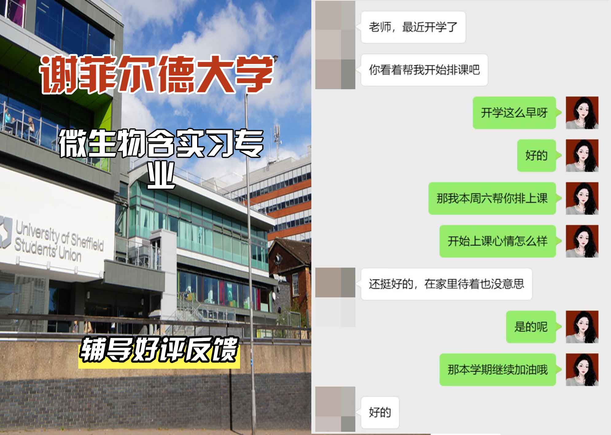 谢菲尔德大学谢大微生物含实习辅导好评反馈