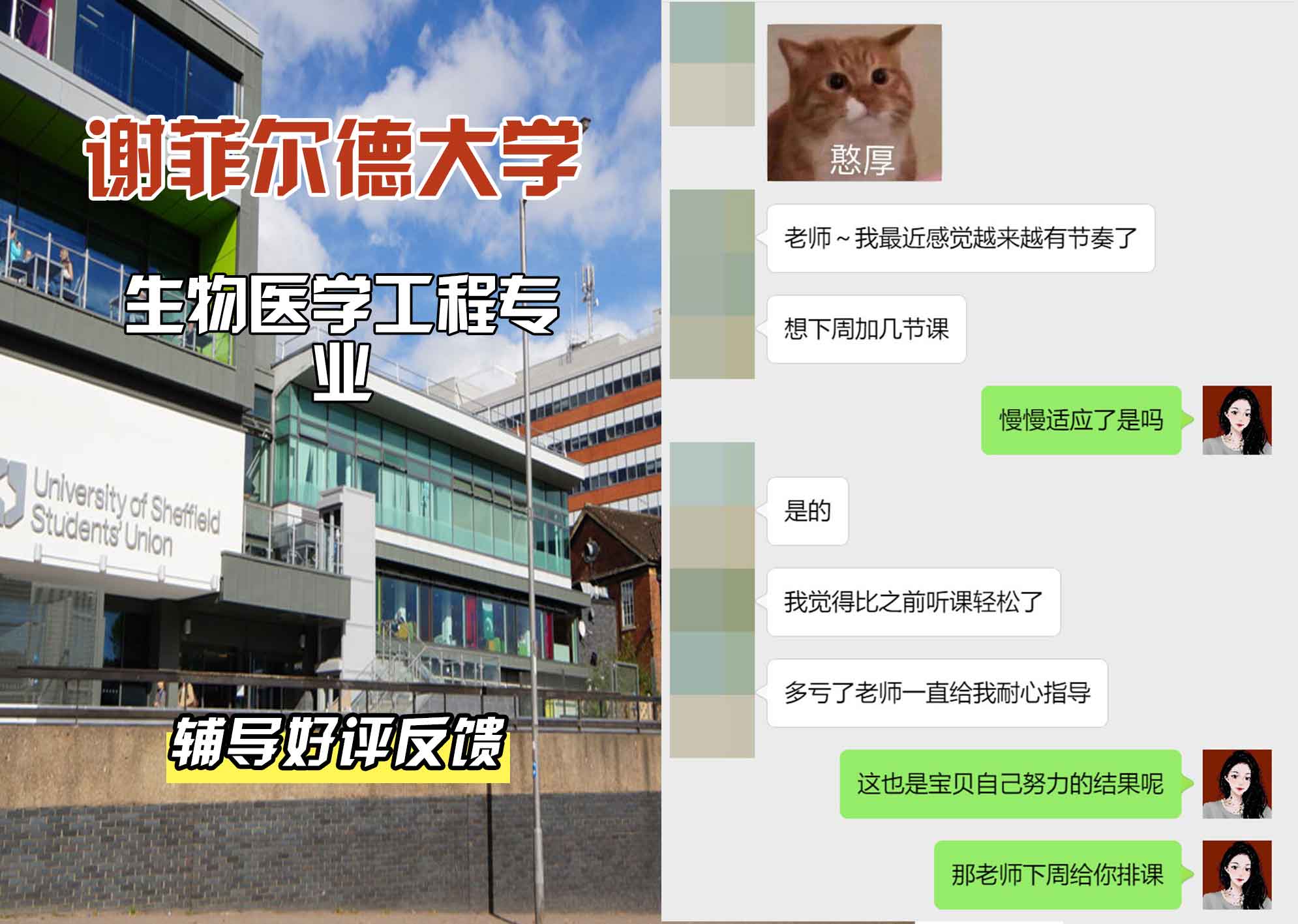 谢菲尔德大学谢大生物医学工程辅导好评反馈
