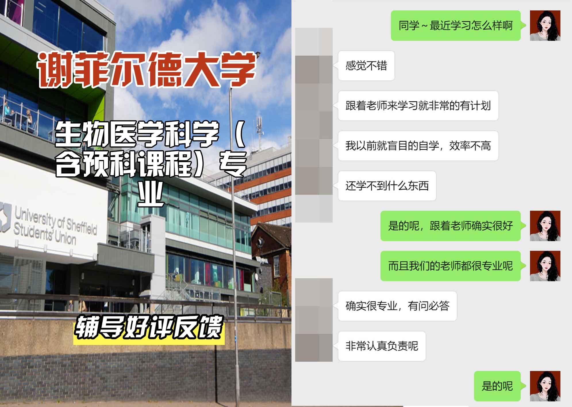 谢菲尔德大学谢大生物医学科学（含预科课程）辅导好评反馈