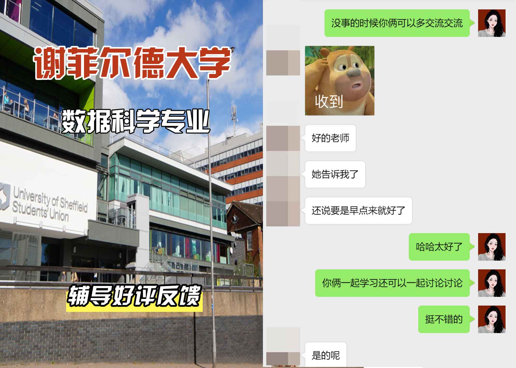 谢菲尔德大学谢大数据科学辅导好评反馈
