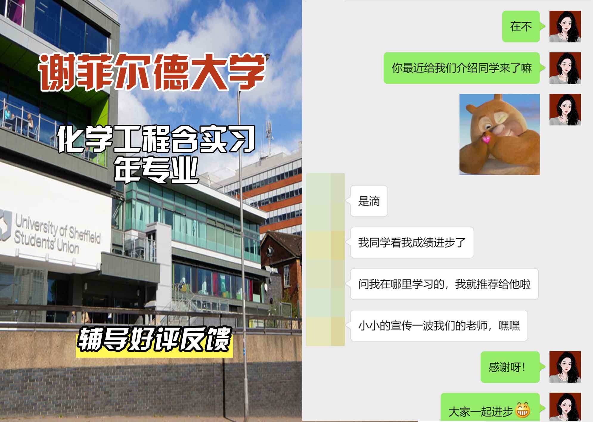 谢菲尔德大学谢大化学工程含实习年辅导好评反馈