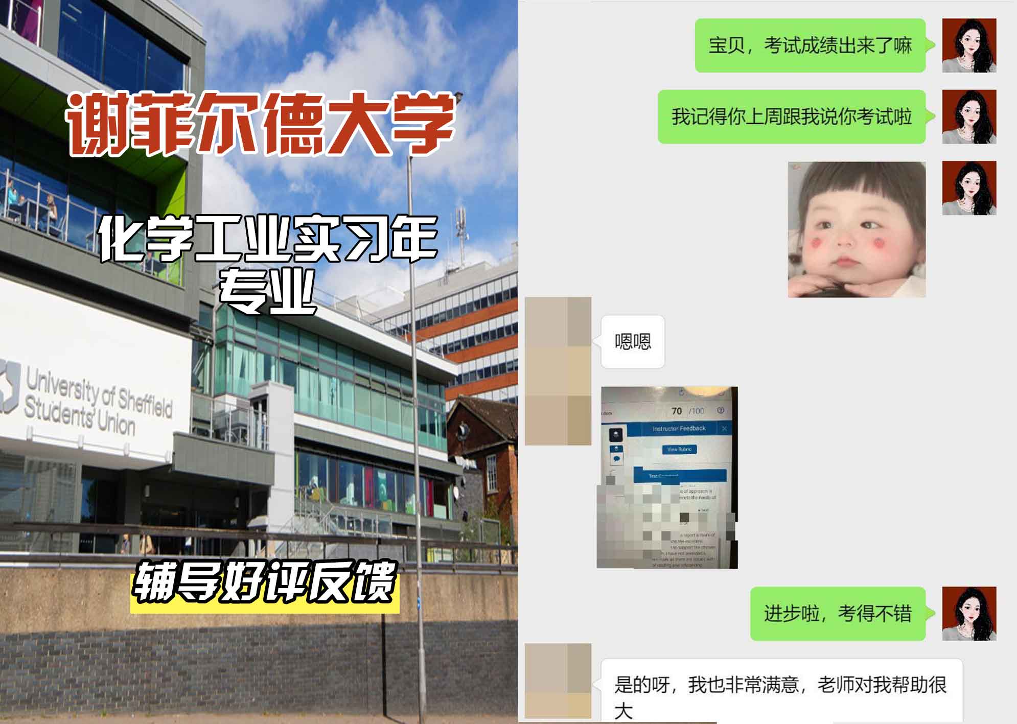 谢菲尔德大学谢大化学工业实习年辅导好评反馈