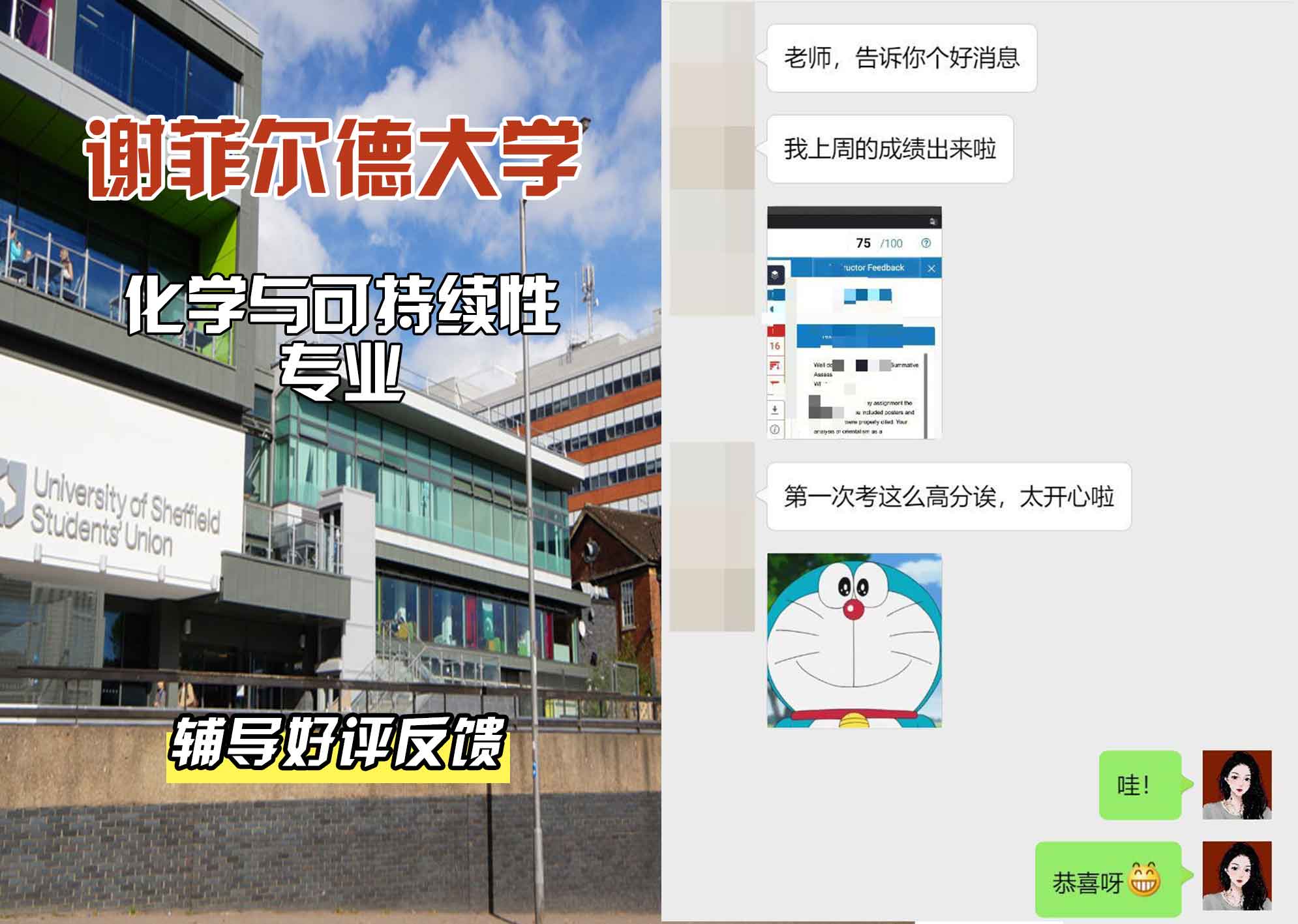 谢菲尔德大学谢大化学与可持续性辅导好评反馈