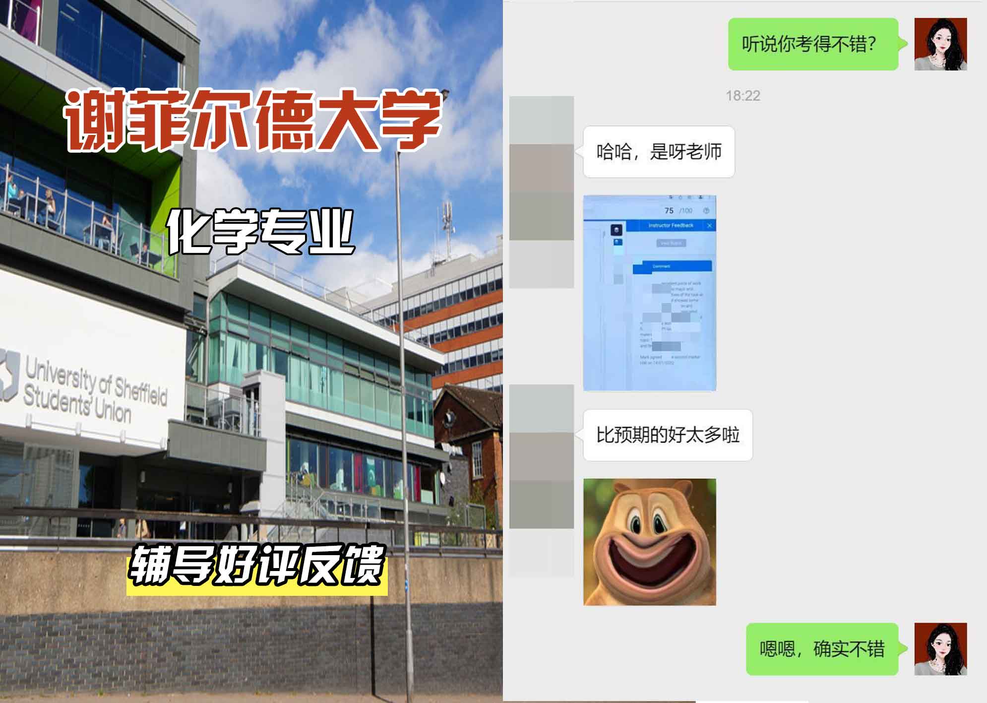 谢菲尔德大学谢大化学专业辅导好评反馈