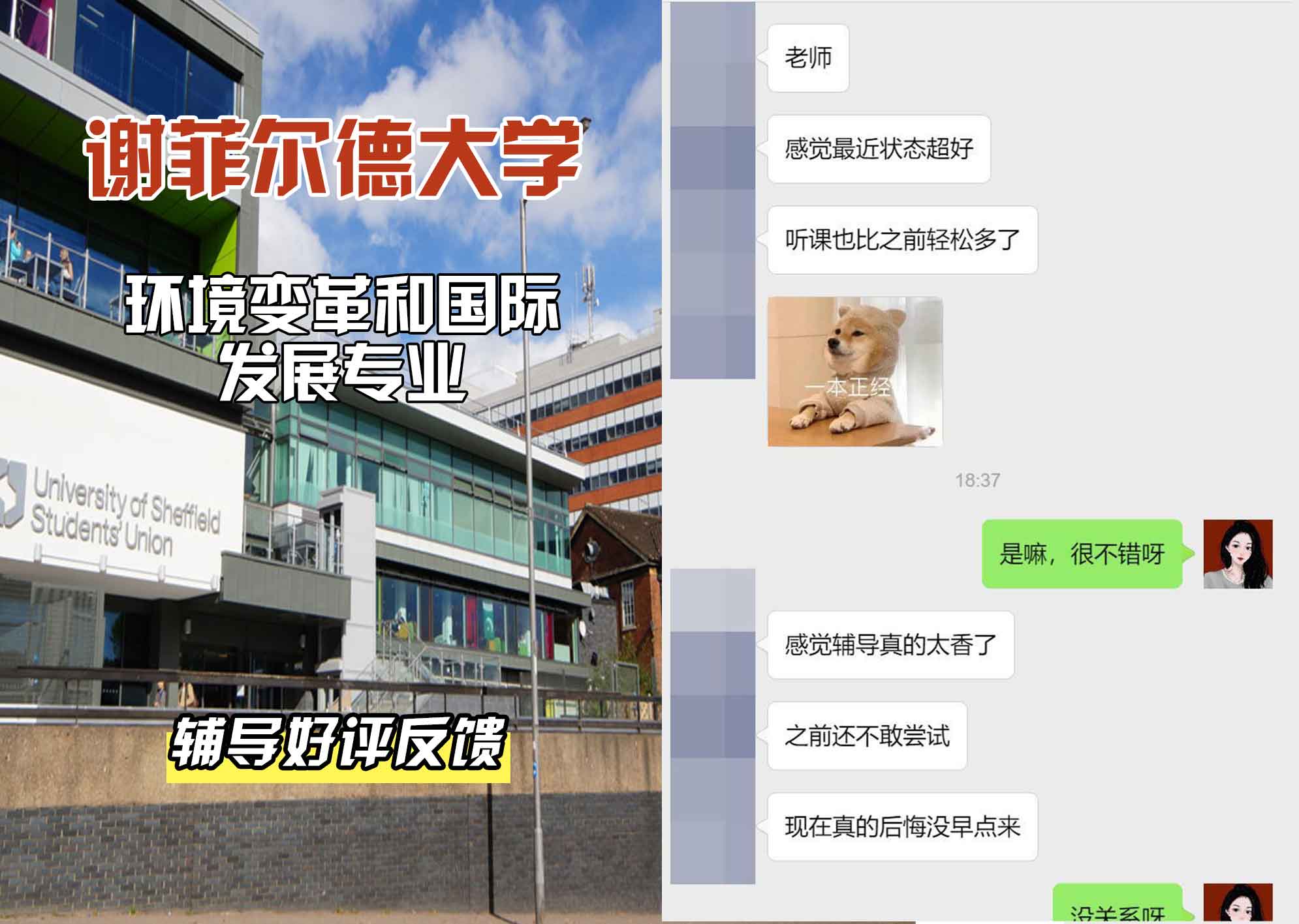 谢菲尔德大学谢大环境变革和国际发展辅导好评反馈