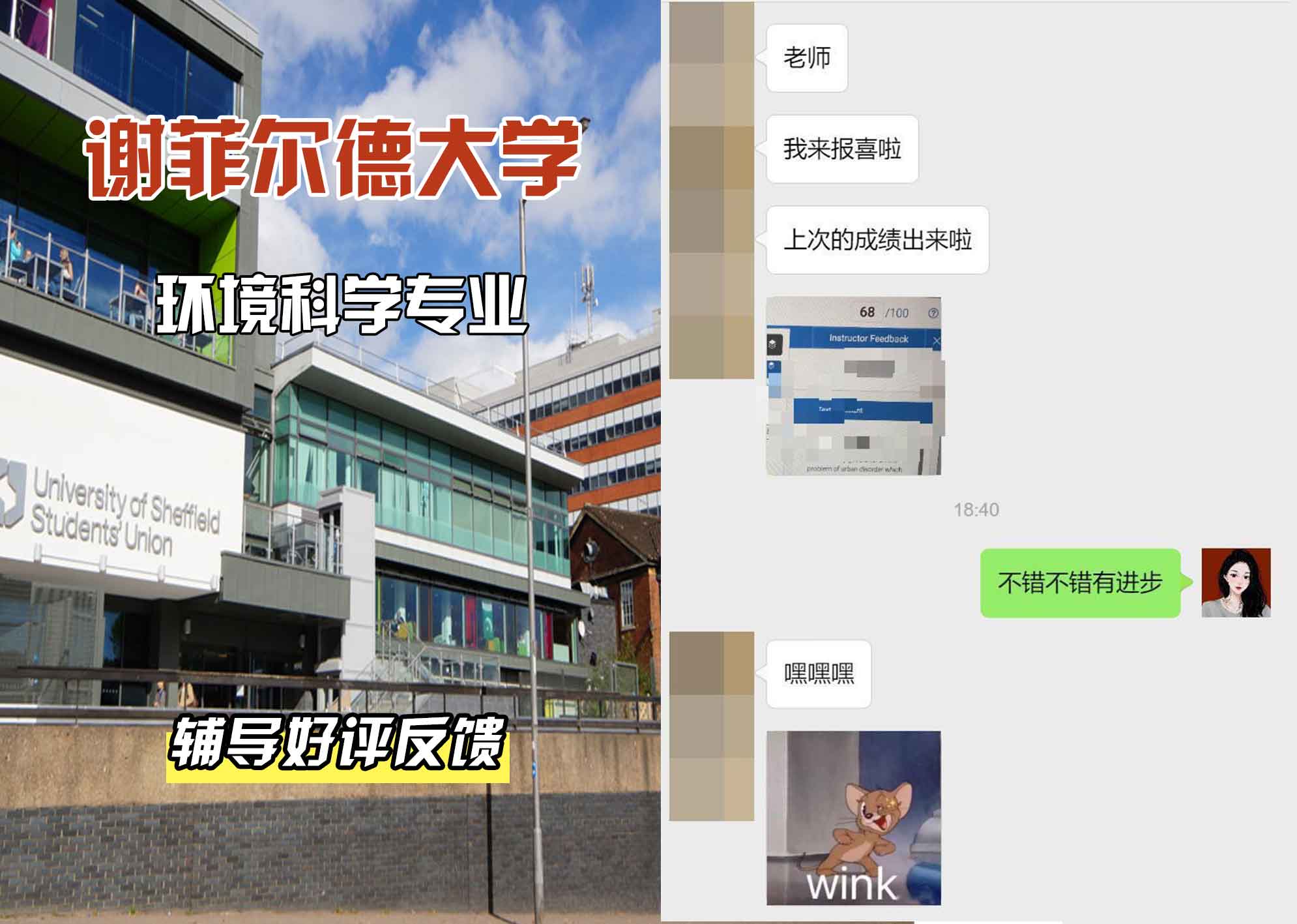 谢菲尔德大学谢大环境科学辅导好评反馈