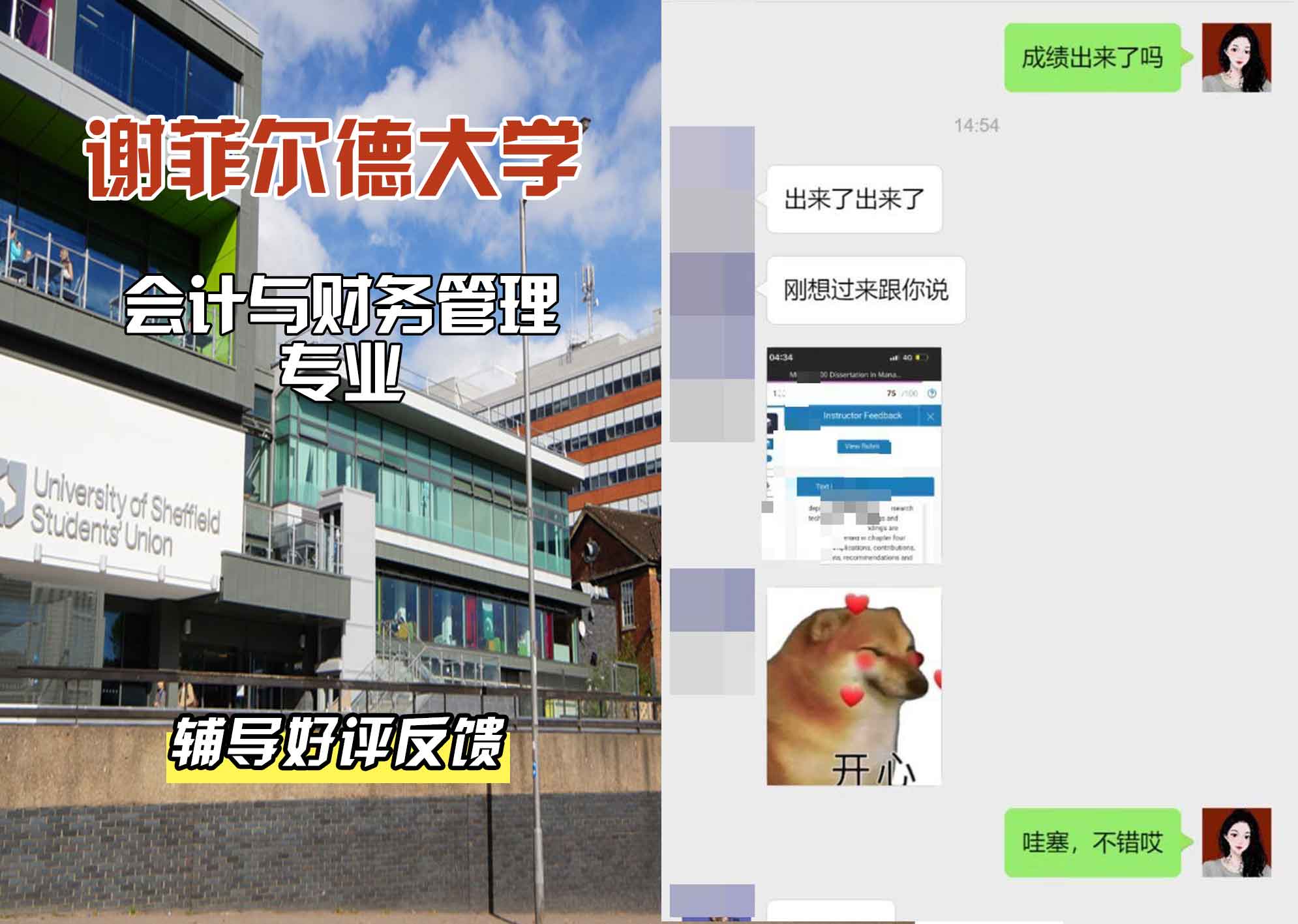 谢菲尔德大学谢大会计与财务管理辅导好评反馈
