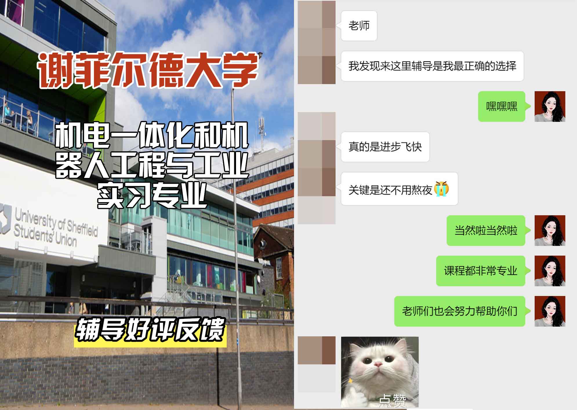谢菲尔德大学谢大机电一体化和机器人工程与工业实习辅导好评反馈