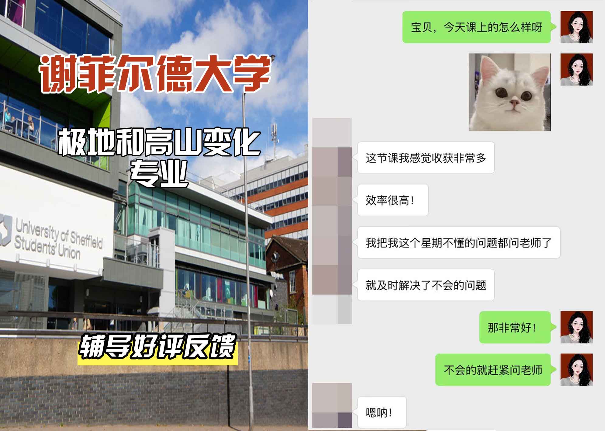 谢菲尔德大学谢大极地和高山变化辅导好评反馈