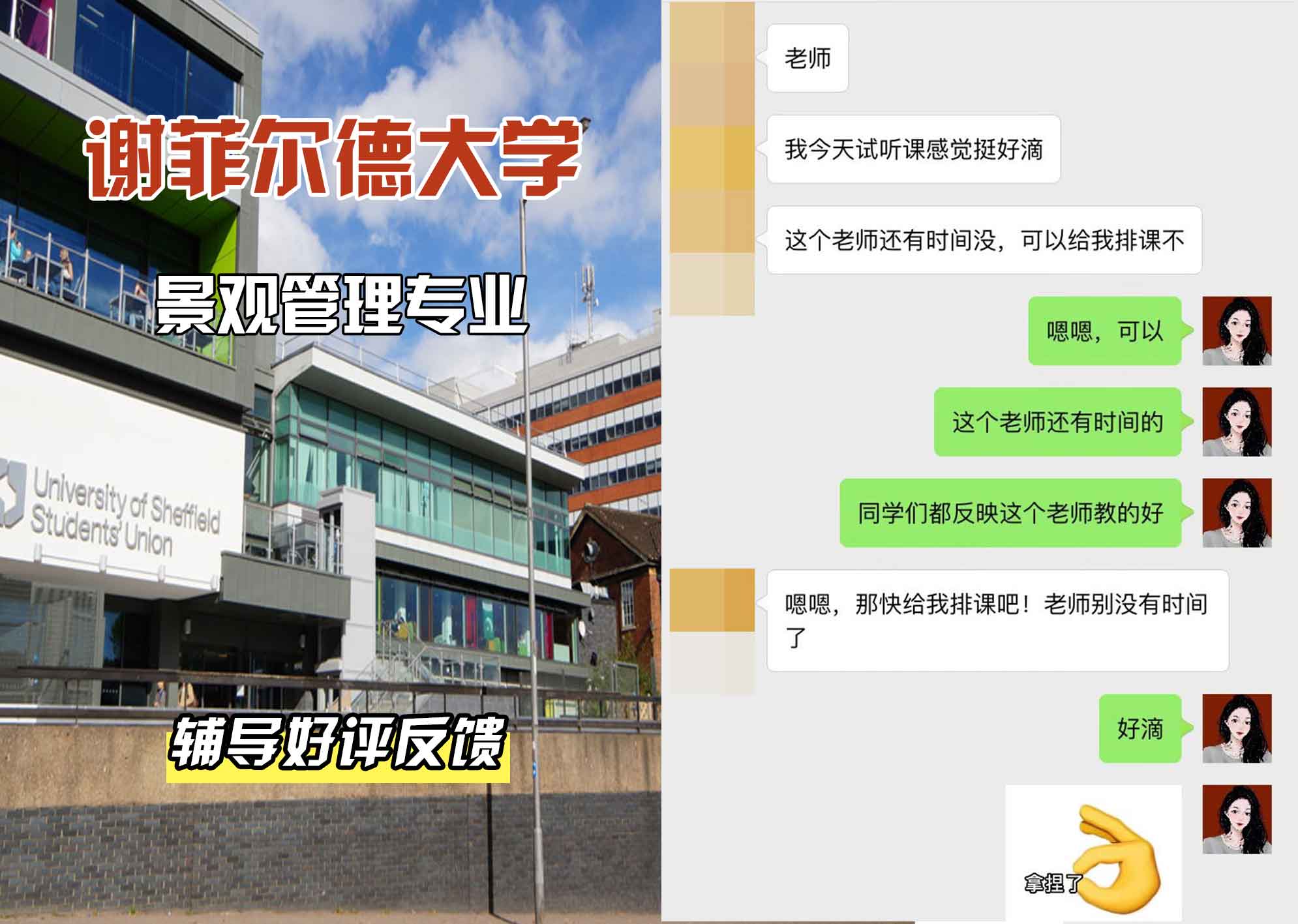 谢菲尔德大学谢大景观管理辅导好评反馈