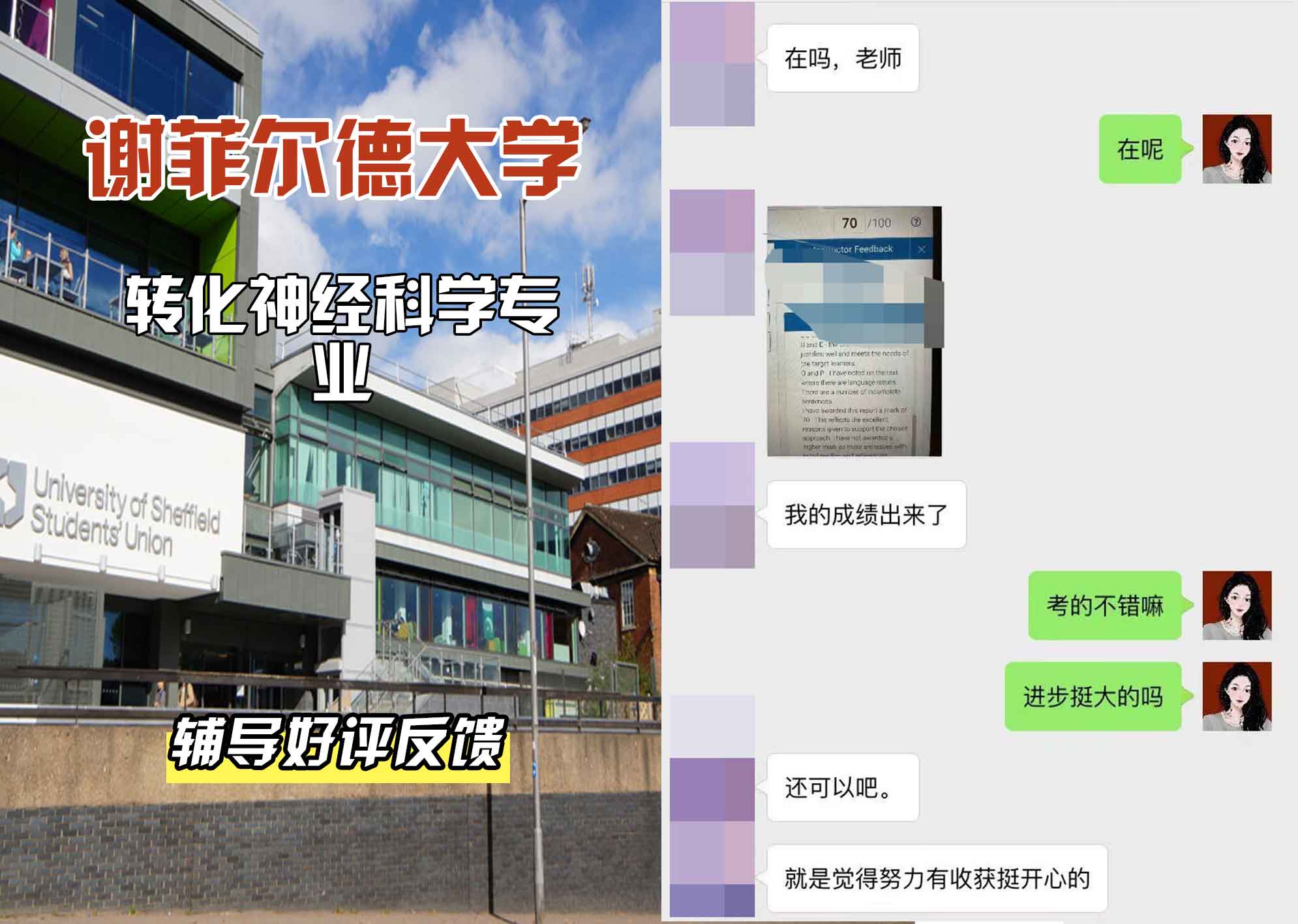 谢菲尔德大学谢大转化神经科学辅导好评反馈