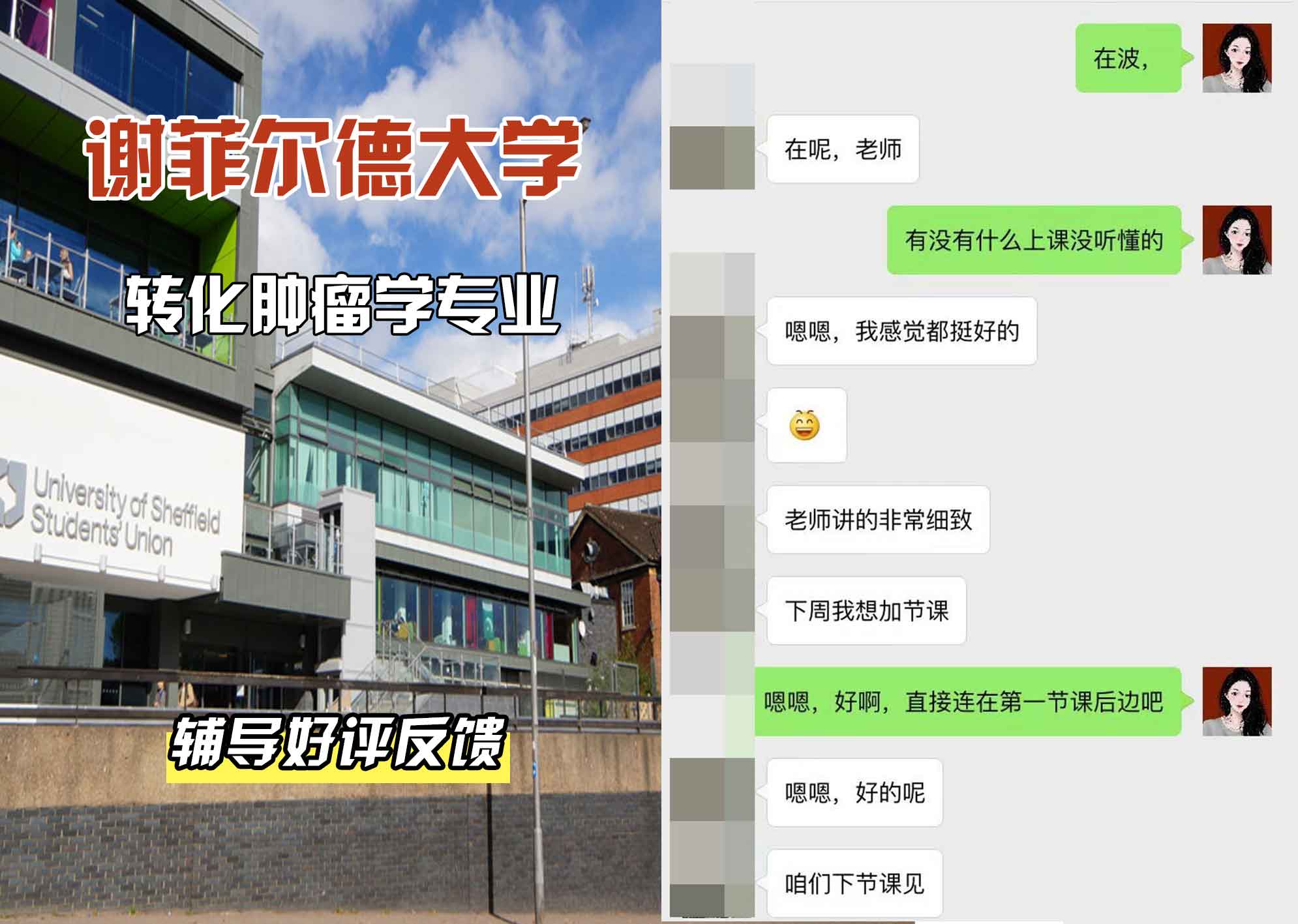 谢菲尔德大学谢大转化肿瘤学辅导好评反馈