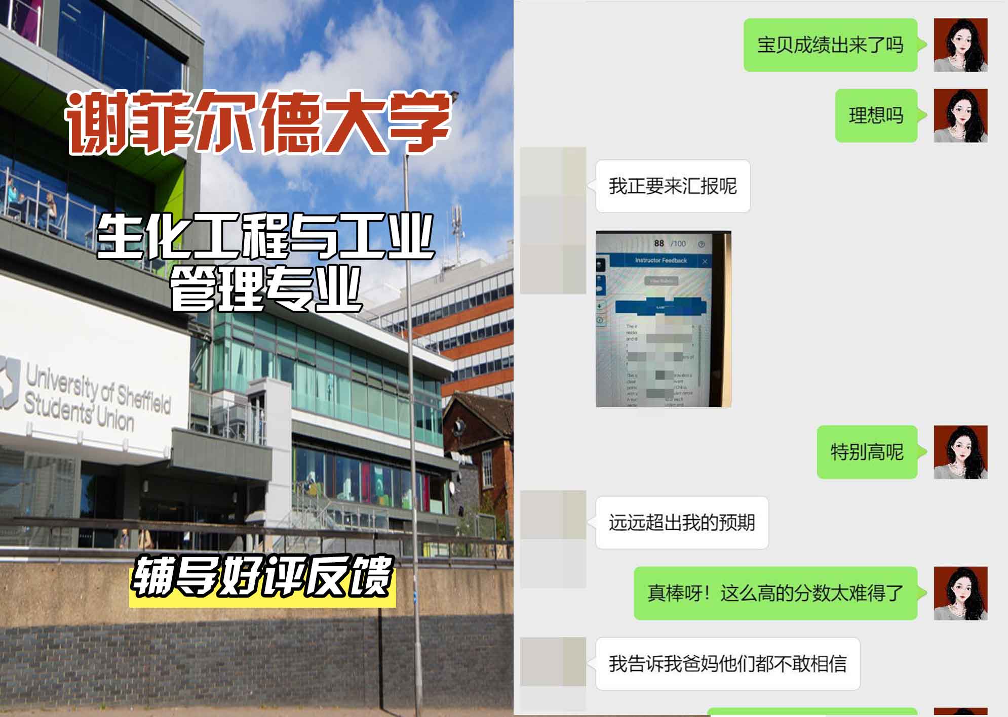 谢菲尔德大学谢大生化工程与工业管理辅导好评反馈